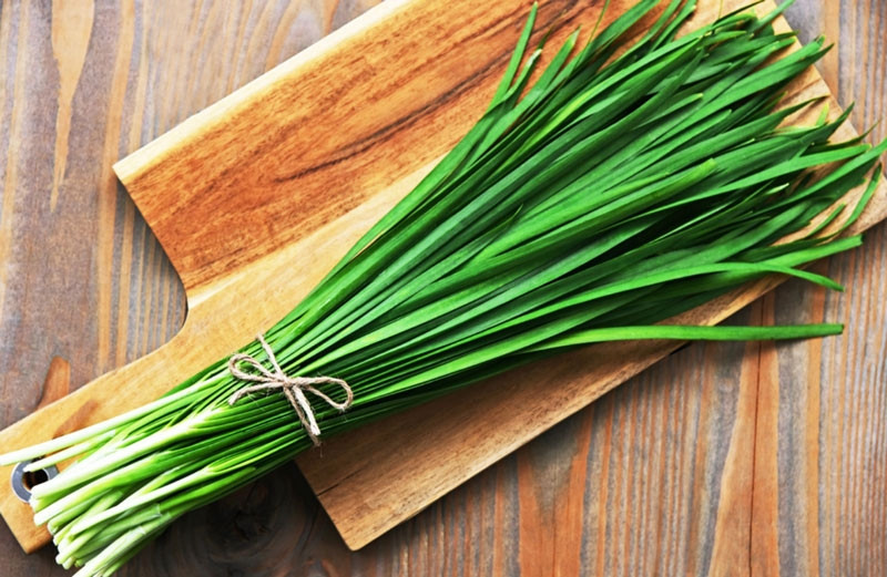 Loại rau gia vị quen thuộc lại là thuốc quý nhiều người không biết