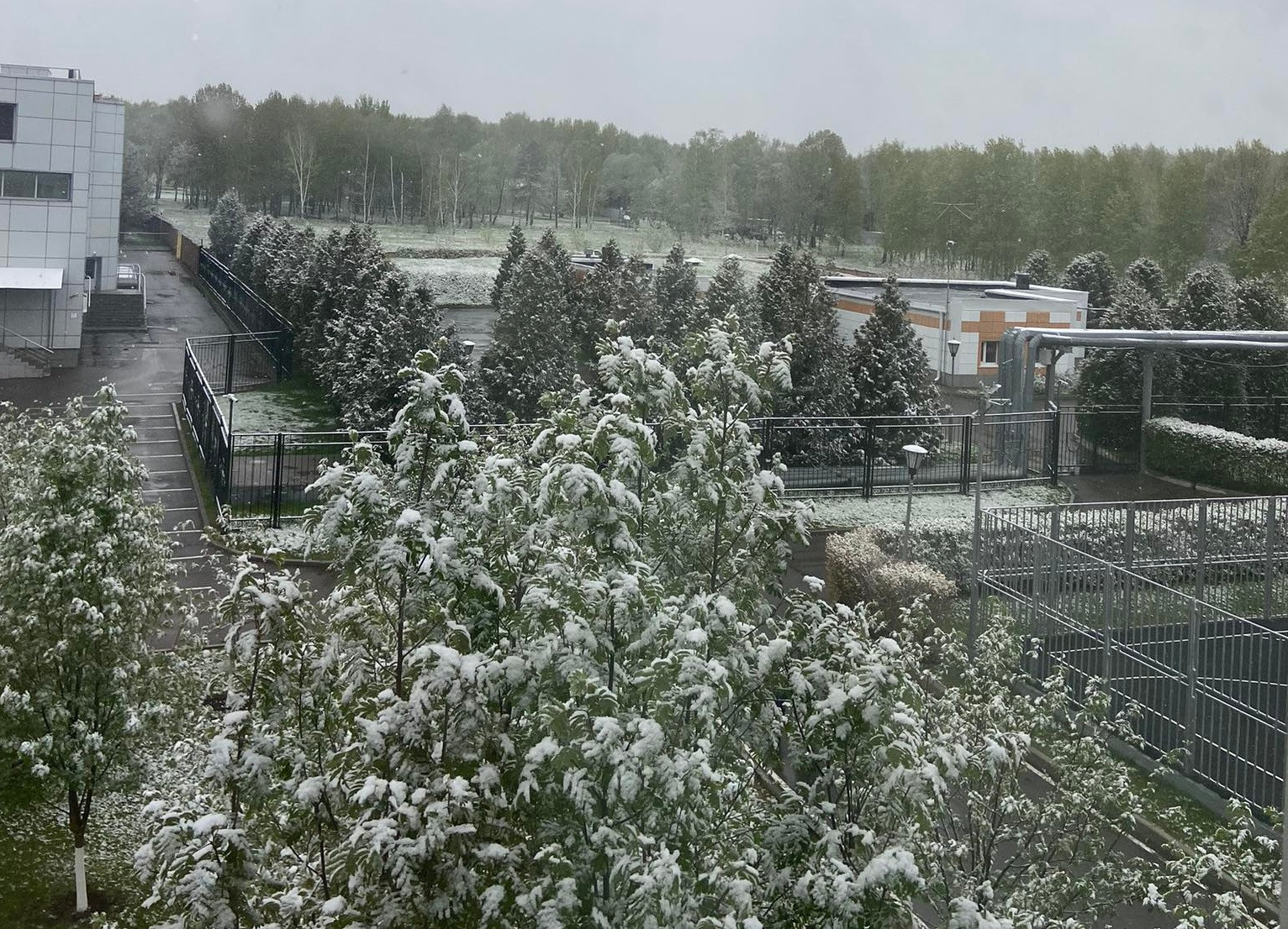 Tuyết rơi tháng 5 ở Moskva