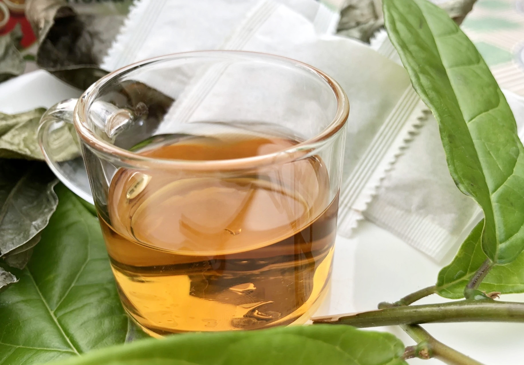 Nước xạ đen có tốt cho sức khoẻ?