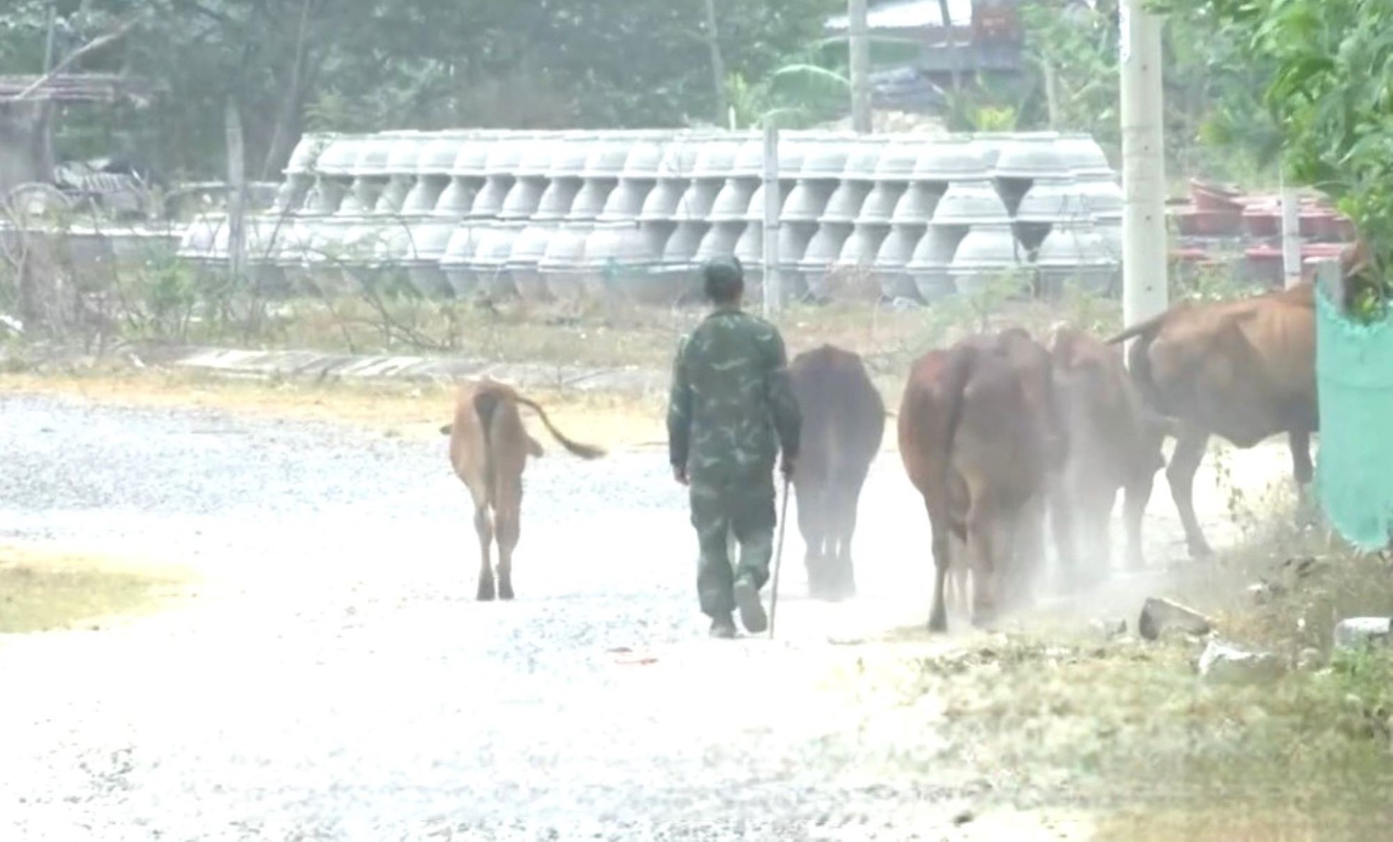  Hơn 10 năm sống cảnh nắng bụi mưa lầy, dân tái định cư kêu trời 