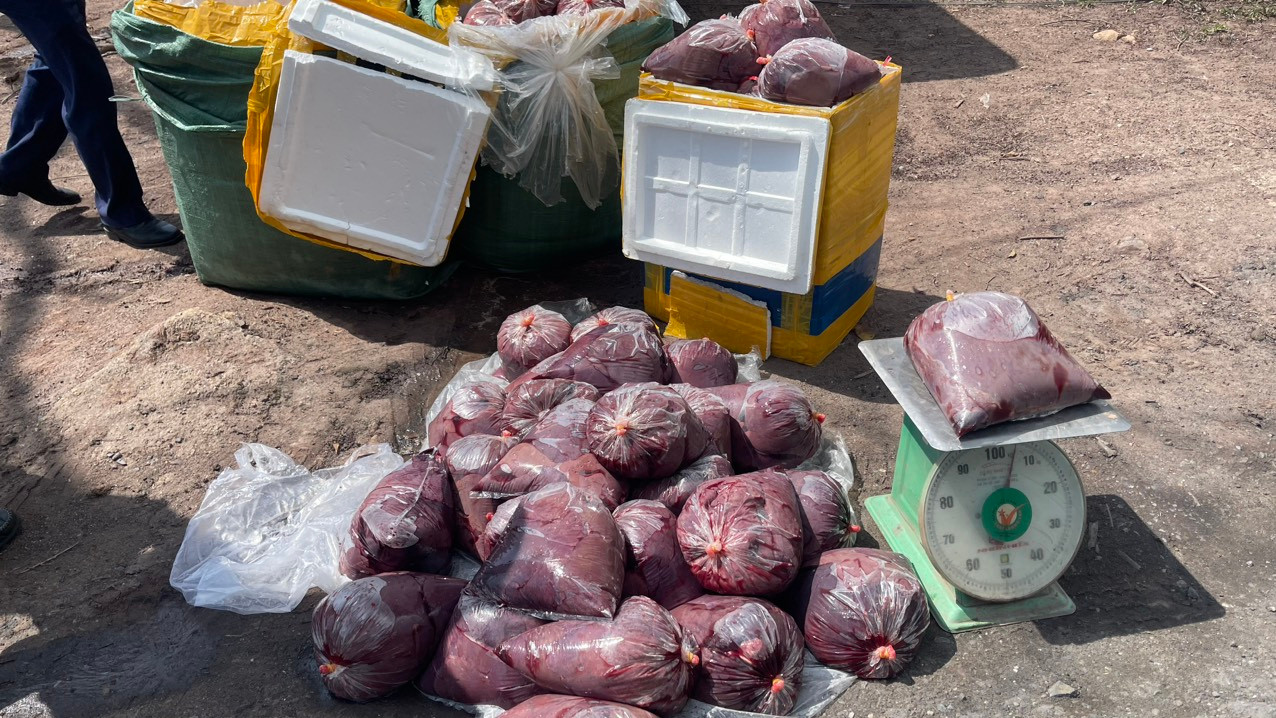 Phát hiện xe khách chở gần nửa tấn nội tạng sang Lào tiêu thụ