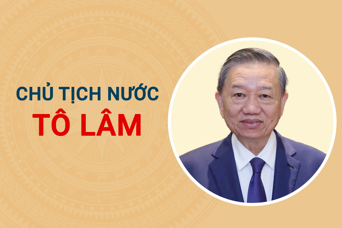 Infographic: Sự nghiệp tân Chủ tịch nước Tô Lâm