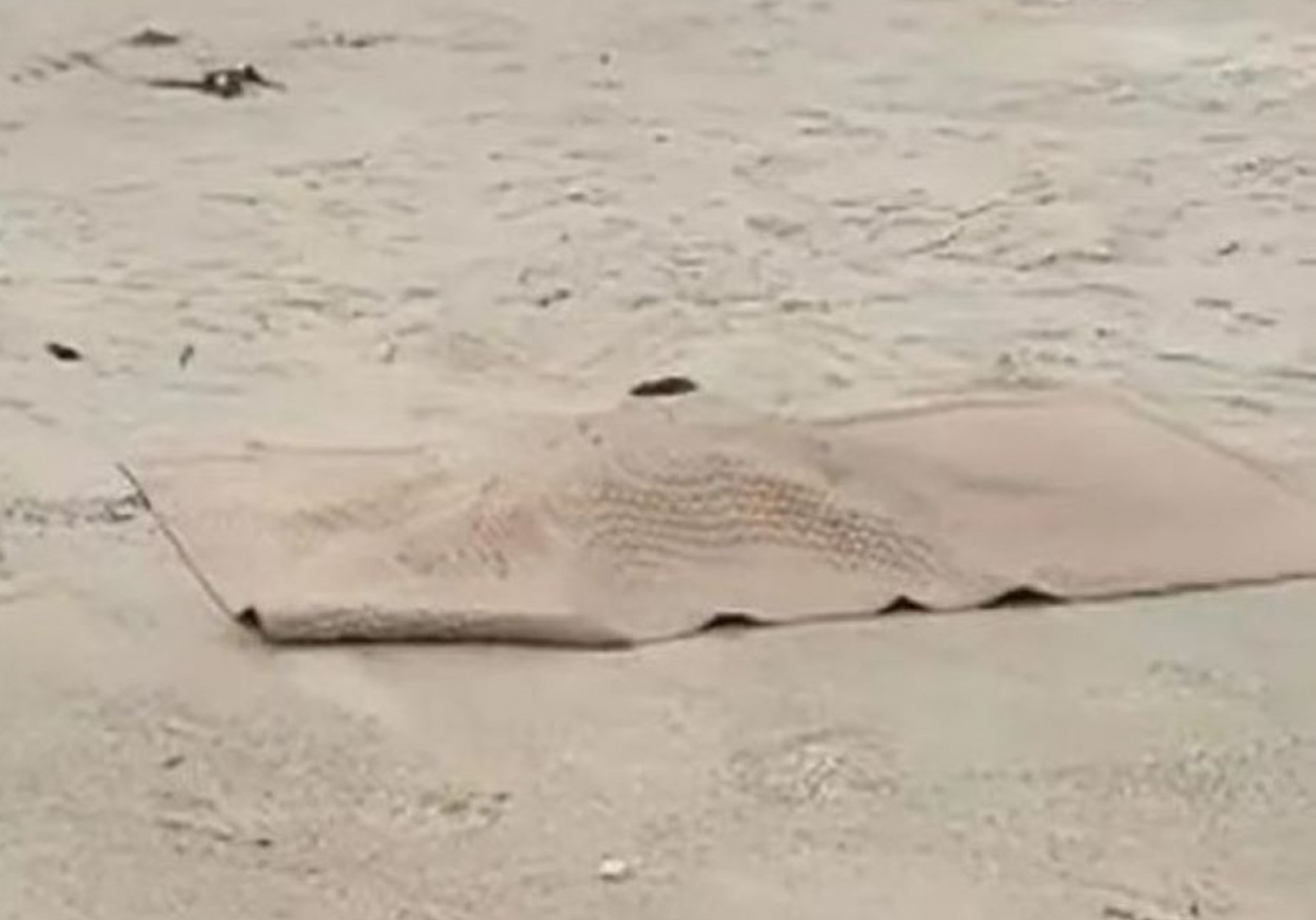 Cháu bé 6 tuổi mất tích lúc đi gửi trẻ: Thông tin mới nhất