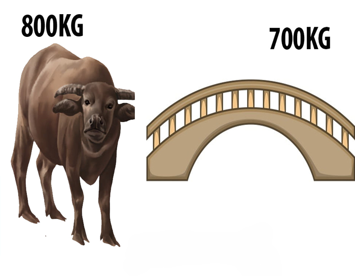 Bài toán tiểu học nhiều người lớn suy nghĩ nửa ngày chưa tìm được đáp án