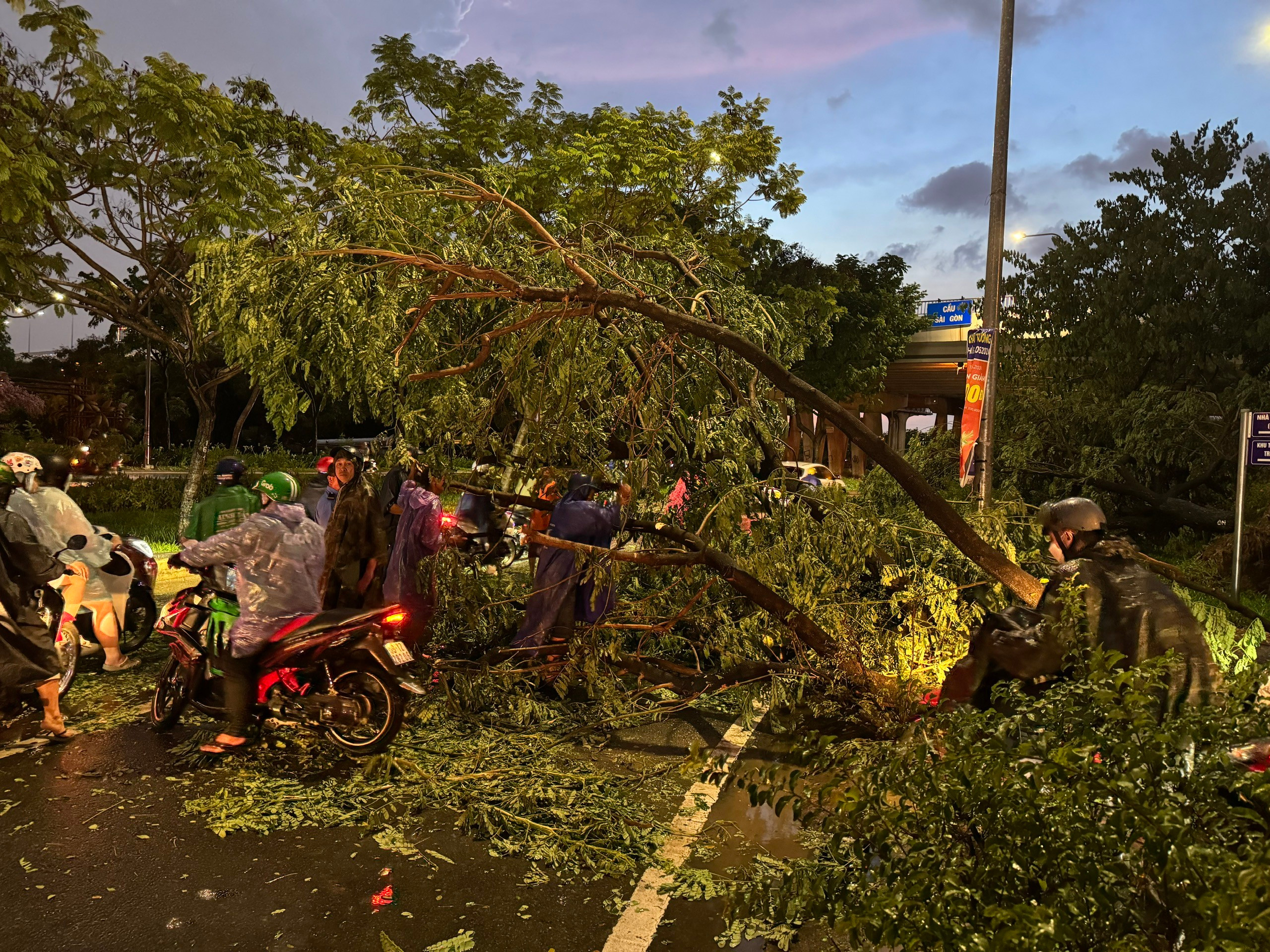 TP.HCM: Cây đổ đè người, đường 'biến thành sông' sau mưa lớn