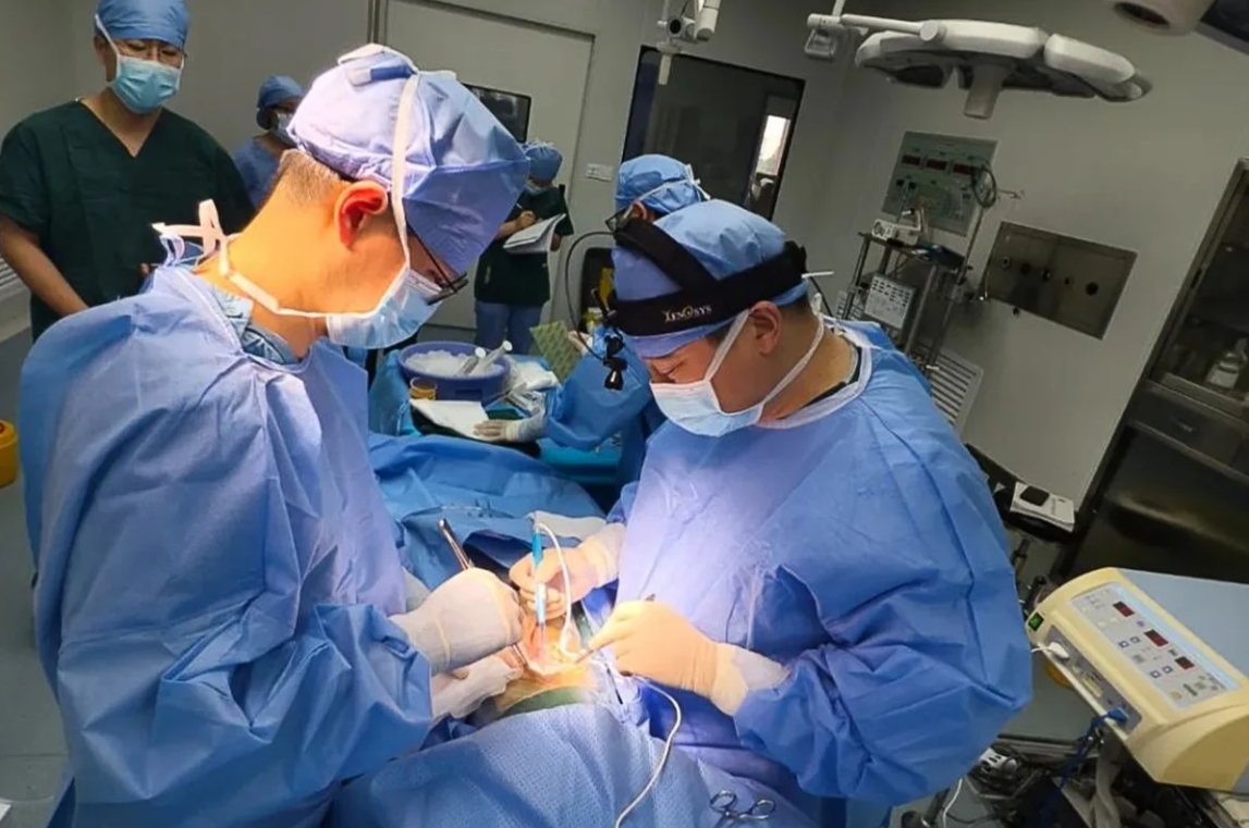 Trung Quốc lần đầu tiên ghép gan lợn cho người sống thành công