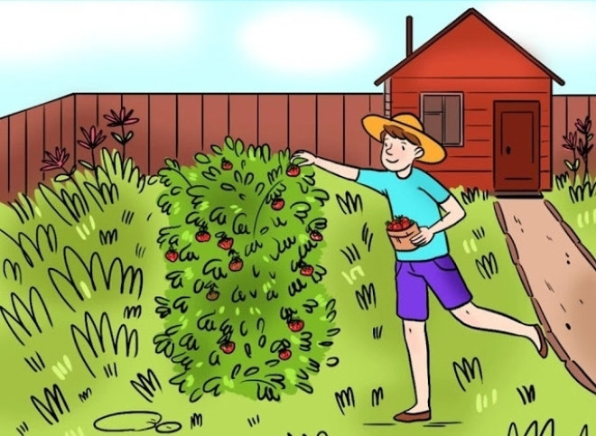 Đố bạn tìm ra lỗi sai duy nhất trong bức ảnh