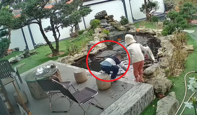 Bé gái nhanh trí cứu bé trai khỏi đuối nước ở hồ cá koi được dân mạng khen ngợi