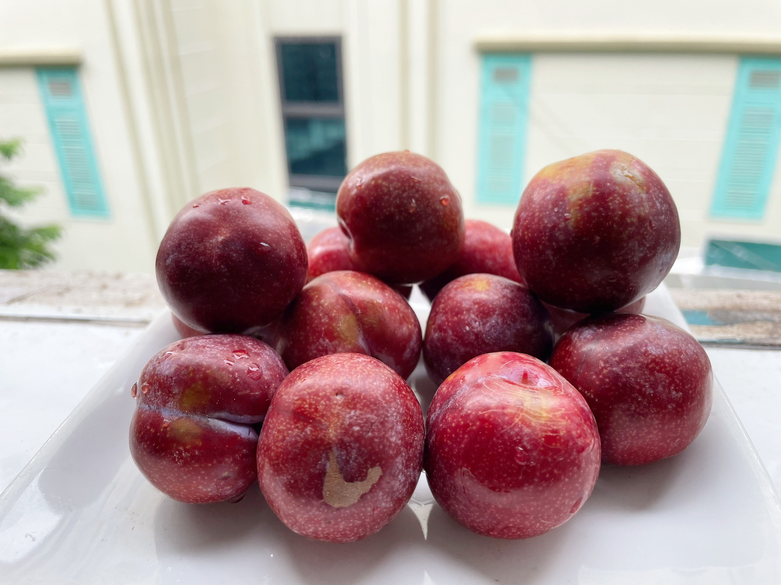 Mận vào mùa ngon khó cưỡng nhưng khi ăn đừng bỏ qua những lưu ý này