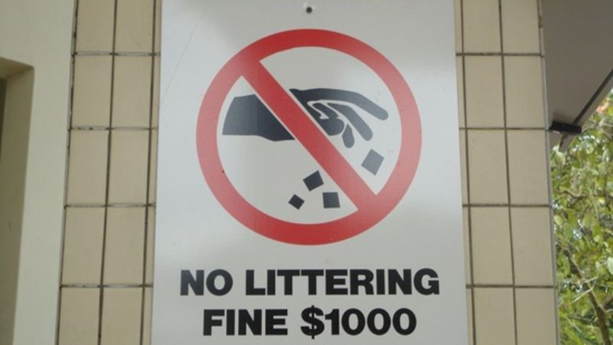 Đóng phạt 50 triệu, ngồi tù lên tới 3 tháng vì xả rác nơi công cộng