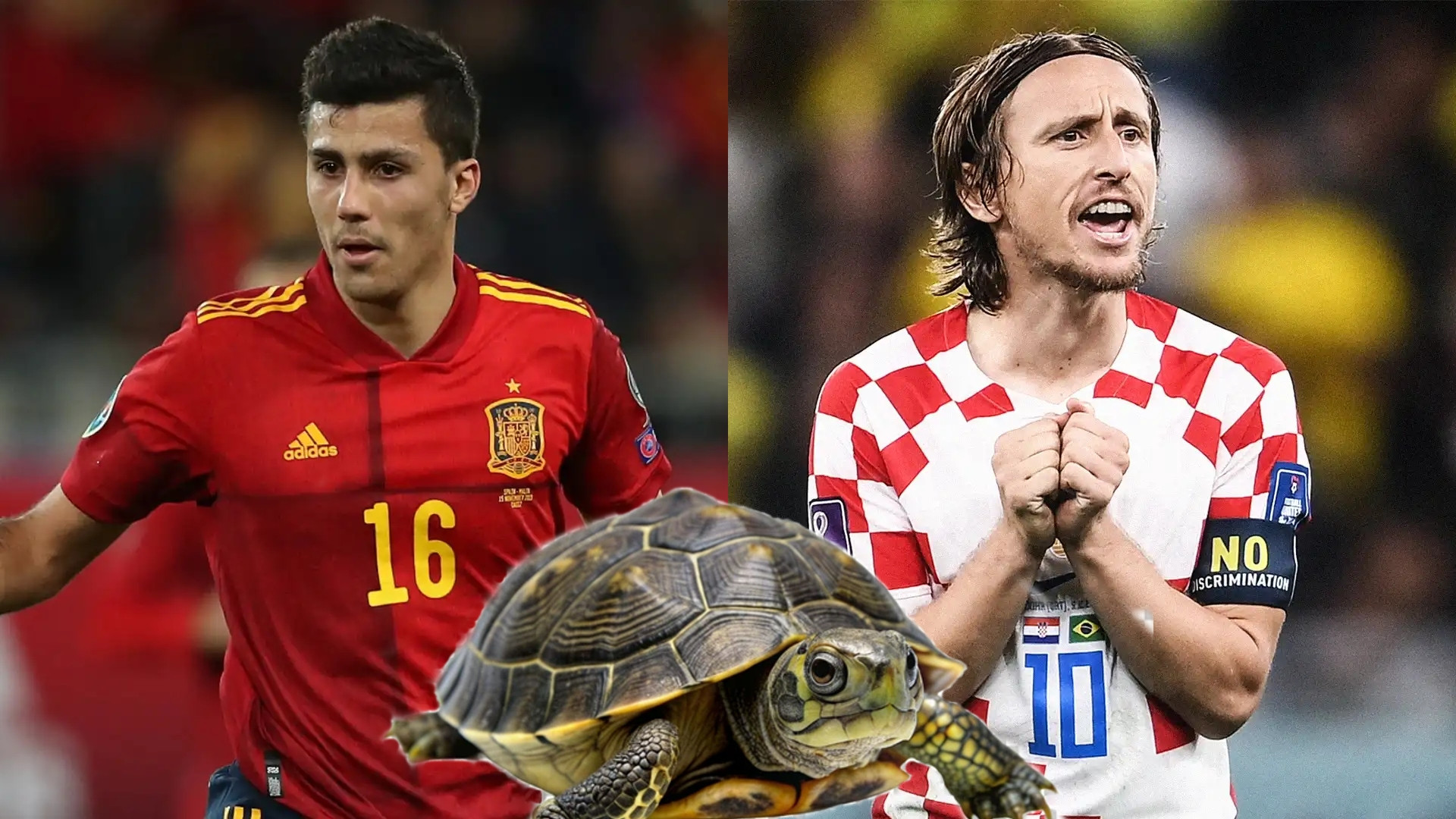 Rùa tiên tri dự đoán EURO 2024 hôm nay 15/6: Tây Ban Nha thắng Croatia