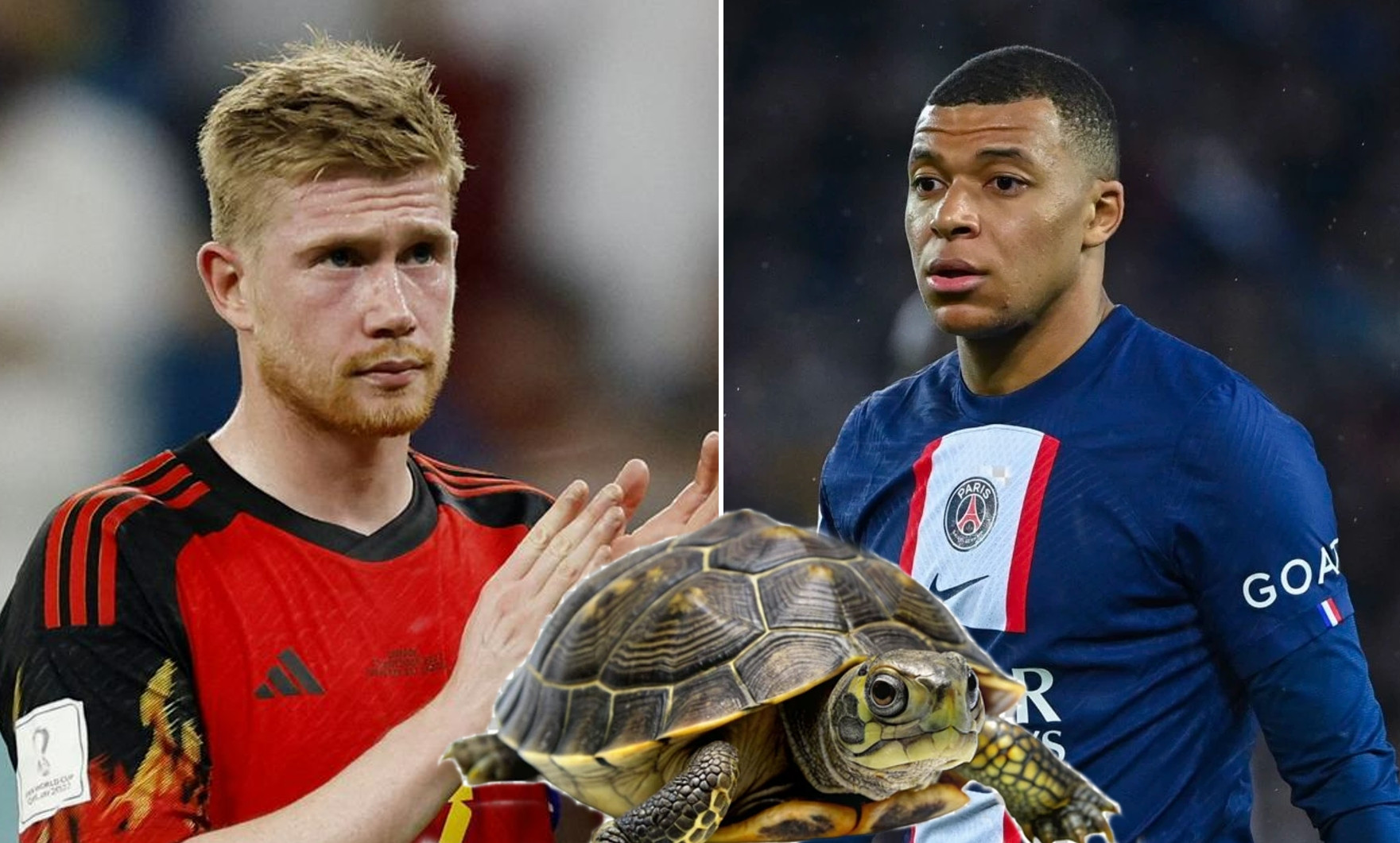 Rùa tiên tri dự đoán EURO 2024 hôm nay 17/6: Pháp hạ Áo, Bỉ thắng Slovakia