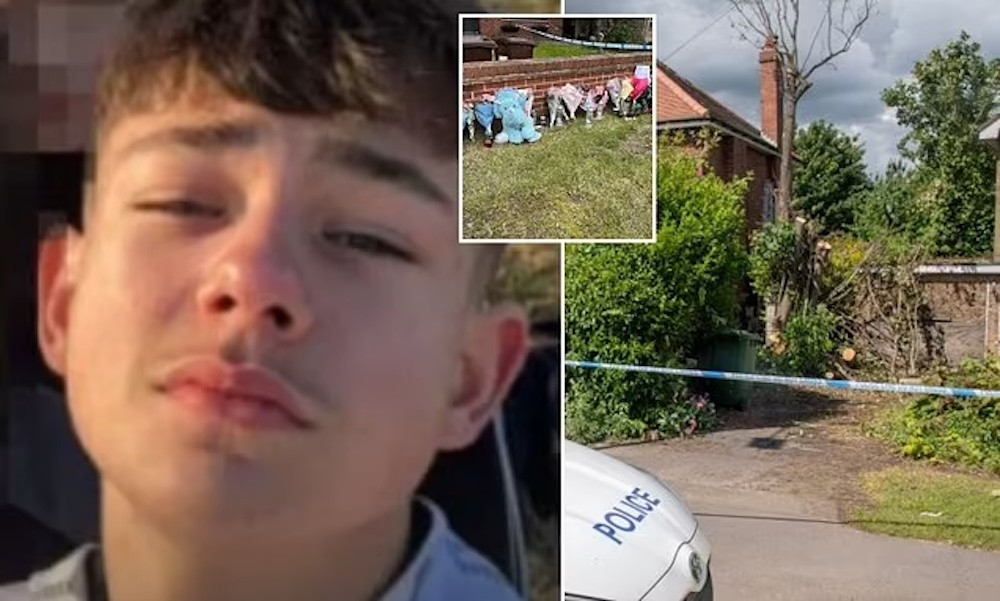 Thiếu niên 16 tuổi bị cây to đè chết khi đang chặt cây