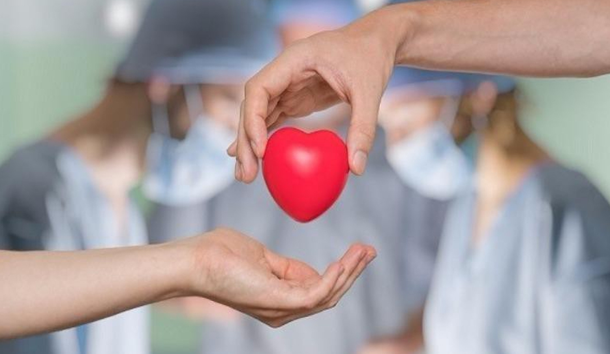 36 người Việt qua đời mỗi ngày vì không có tạng để ghép