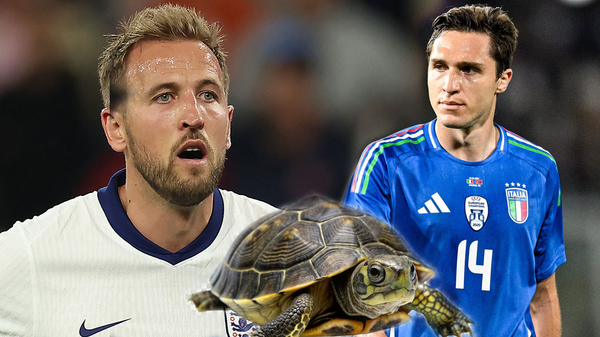 Rùa tiên tri dự đoán EURO 2024 hôm nay 20/6: Italy thắng Tây Ban Nha