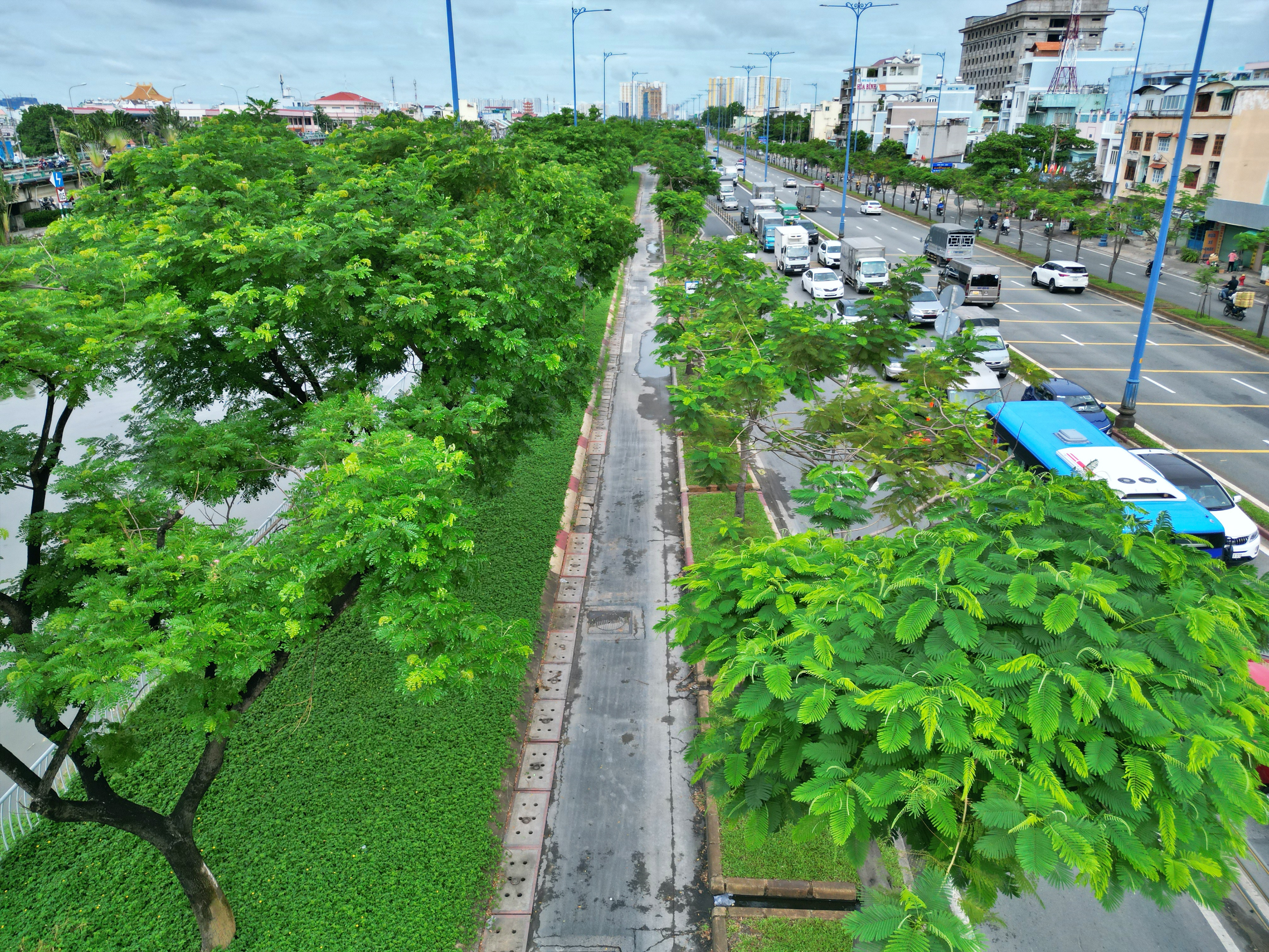 Đốn hạ, di dời 236 cây xanh để mở rộng tuyến đường huyết mạch TP.HCM 