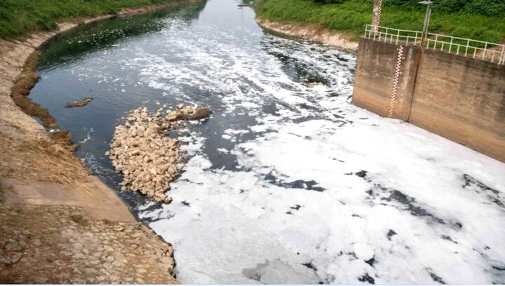 Quốc hội yêu cầu ưu tiên phục hồi sông Bắc Hưng Hải, sông Nhuệ - Đáy