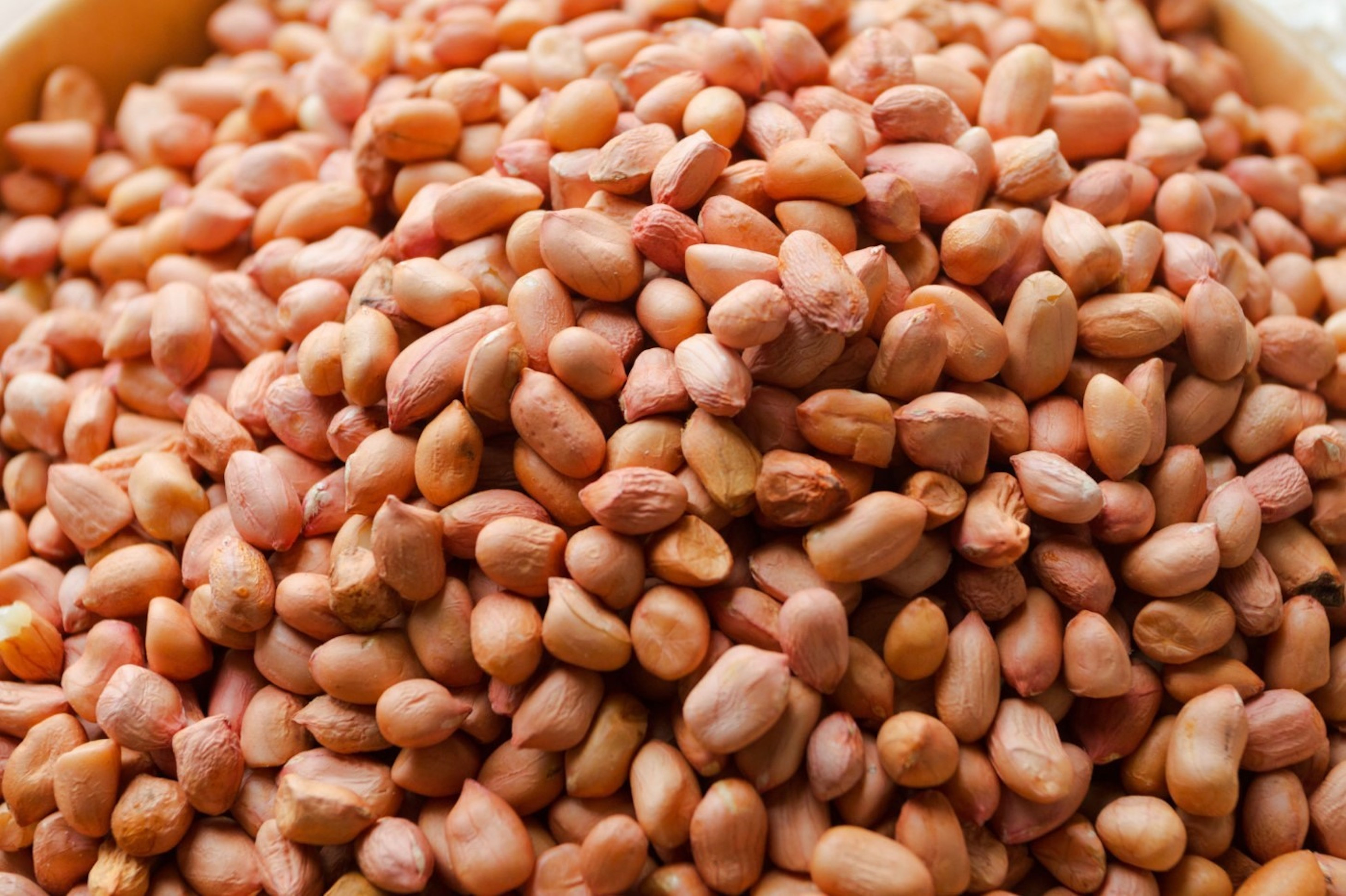 Những bài thuốc chữa bệnh từ hạt lạc