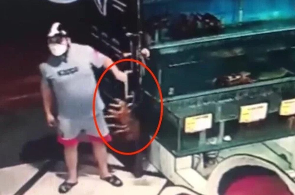 Bắt kẻ trộm tôm hùm gần 10 triệu đồng tại nhà hàng Hà Nội