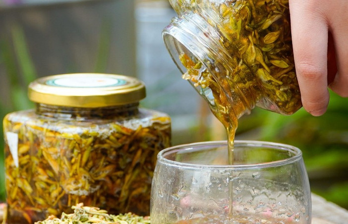 Uống hoa đu đủ ngâm mật ong suốt 2 năm, men gan tăng hơn 1.000 lần