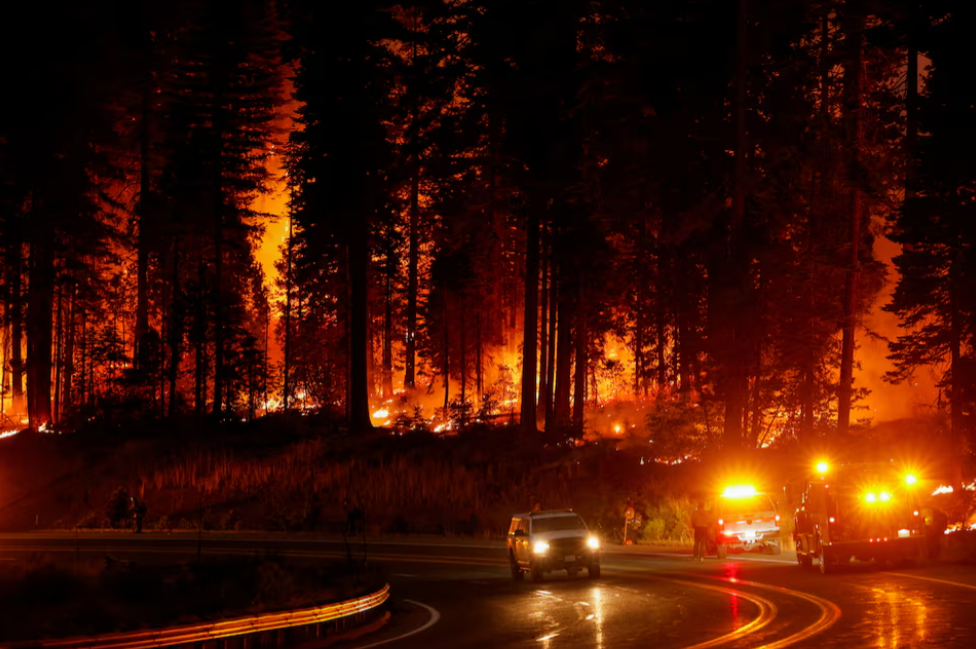 Cháy rừng ở Mỹ lan rộng, diện tích thiêu rụi lớn hơn cả Los Angeles