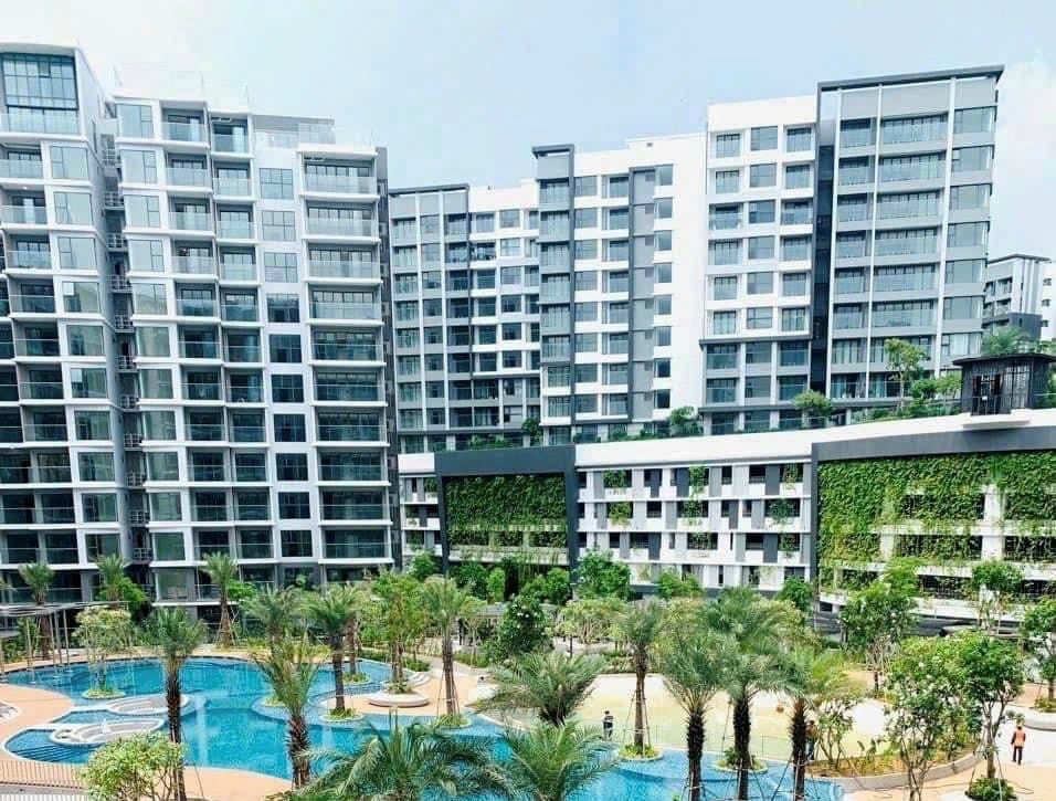 Chuyên gia: Bảng giá đất mới của TP.HCM giúp thị trường minh bạch hơn