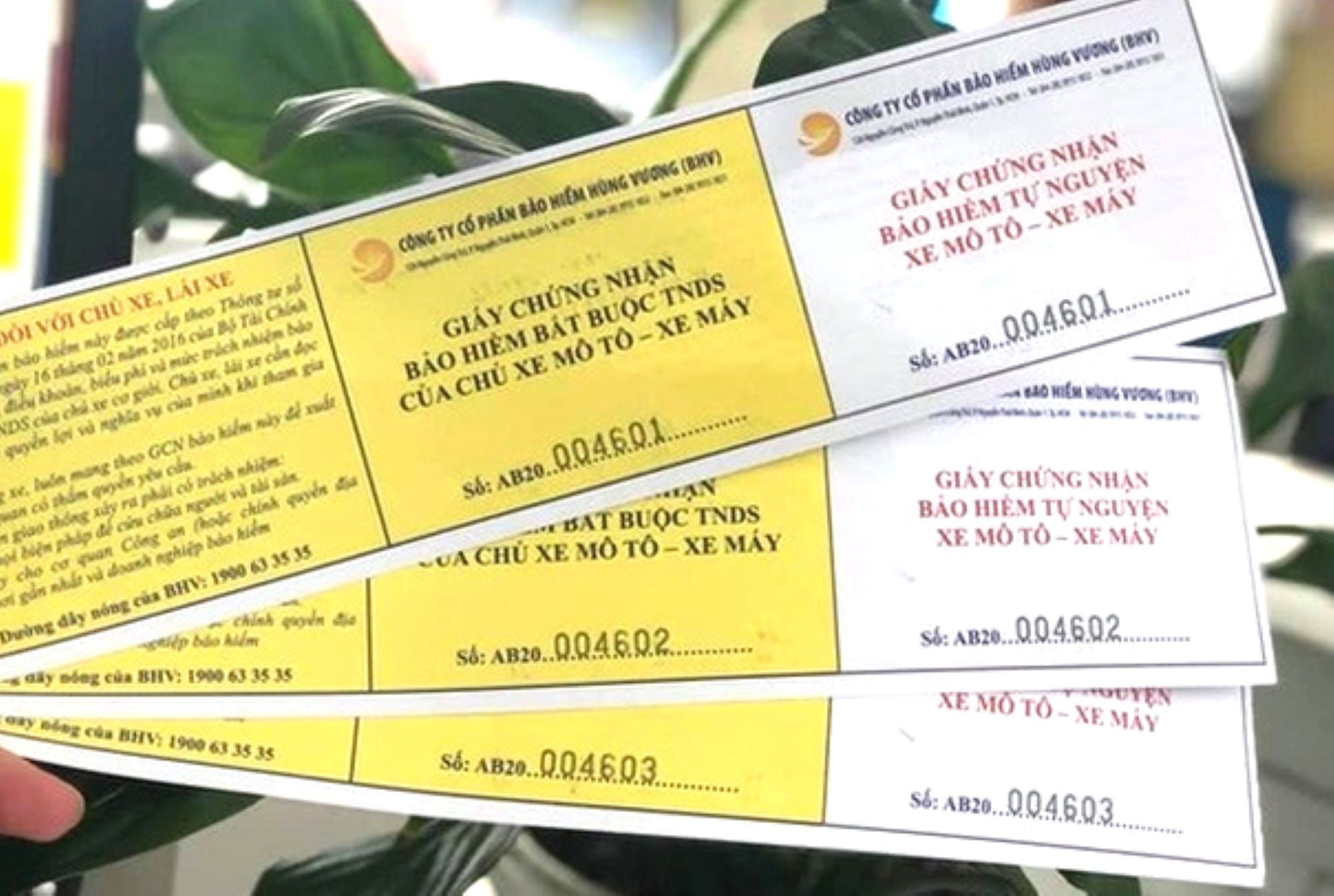 Mua bảo hiểm xe máy để làm gì?