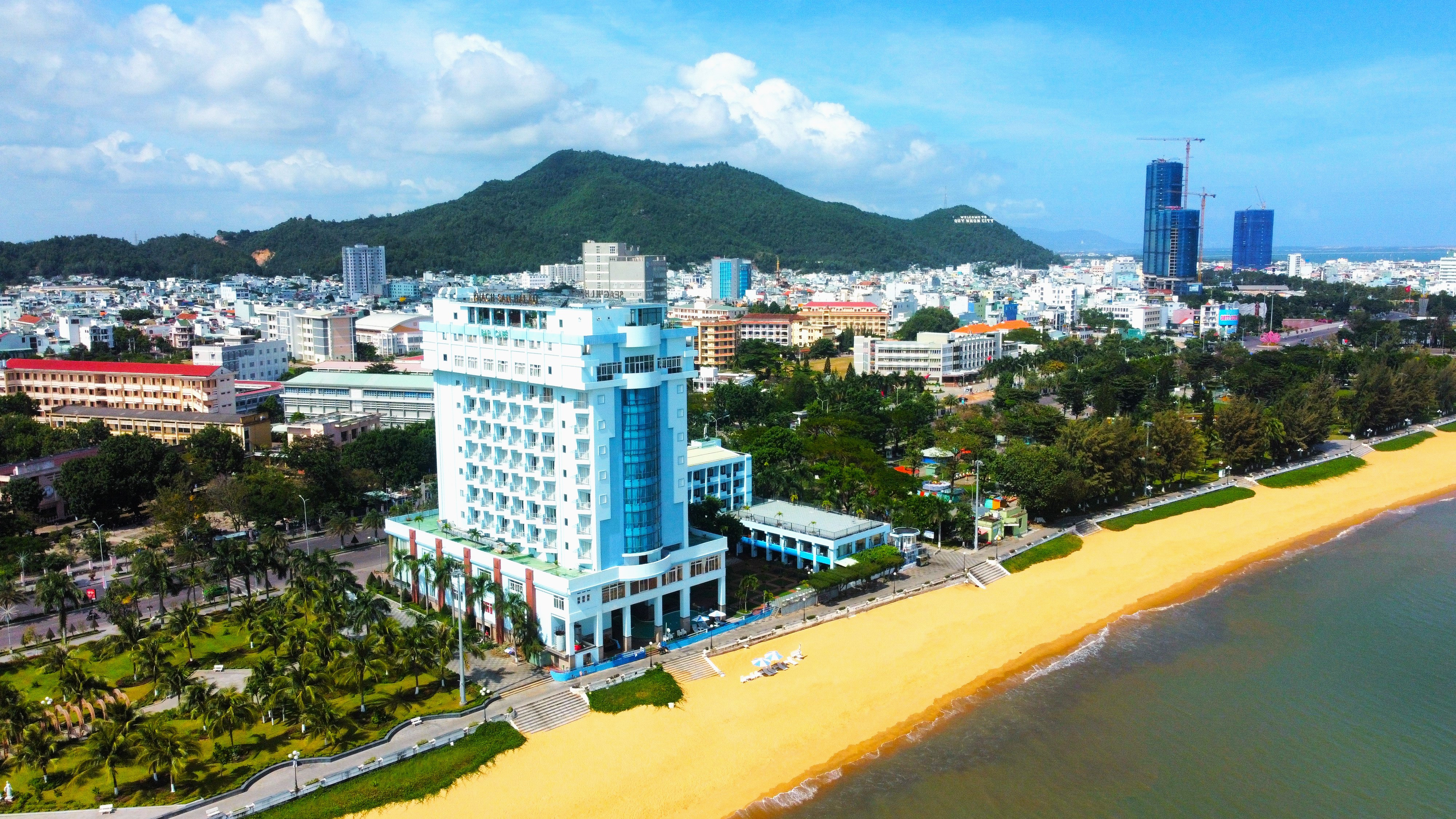 Bình Định: Dự kiến đầu tư hơn 900 tỷ đồng trồng cây xanh đô thị 