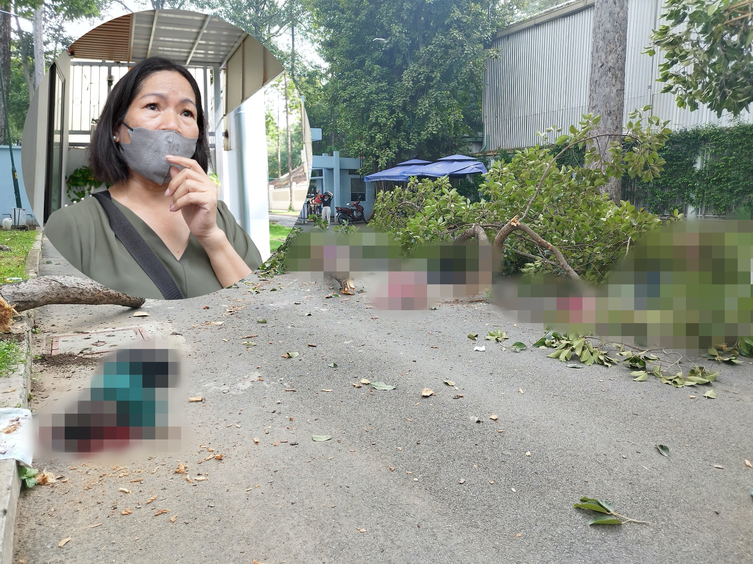 TP.HCM: Nhân chứng kể cảnh cành cây rơi đè chết người ở công viên Tao Đàn