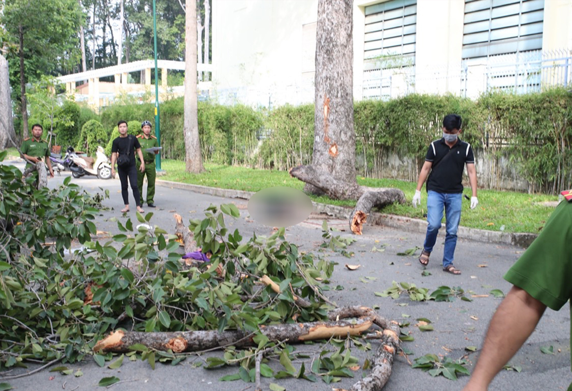 Cành cây rơi đè chết 2 người ở công viên Tao Đàn