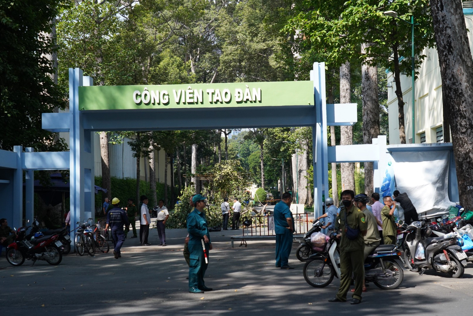 Hiện trường vụ cành cây rơi đè 5 người thương vong ở công viên Tao Đàn