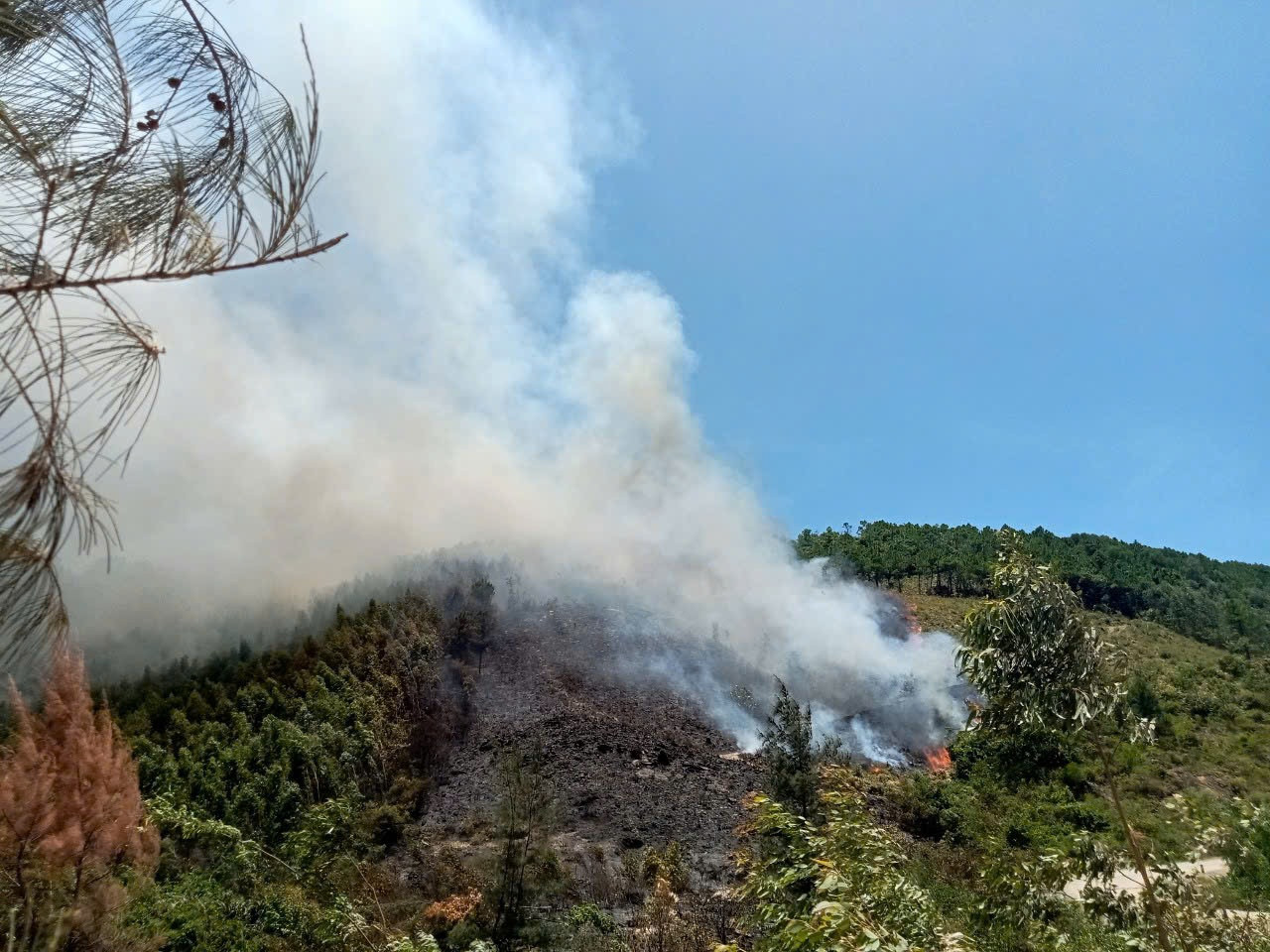 Hơn 20 giờ nỗ lực, đám cháy rừng ở Quảng Bình vẫn chưa thể dập tắt