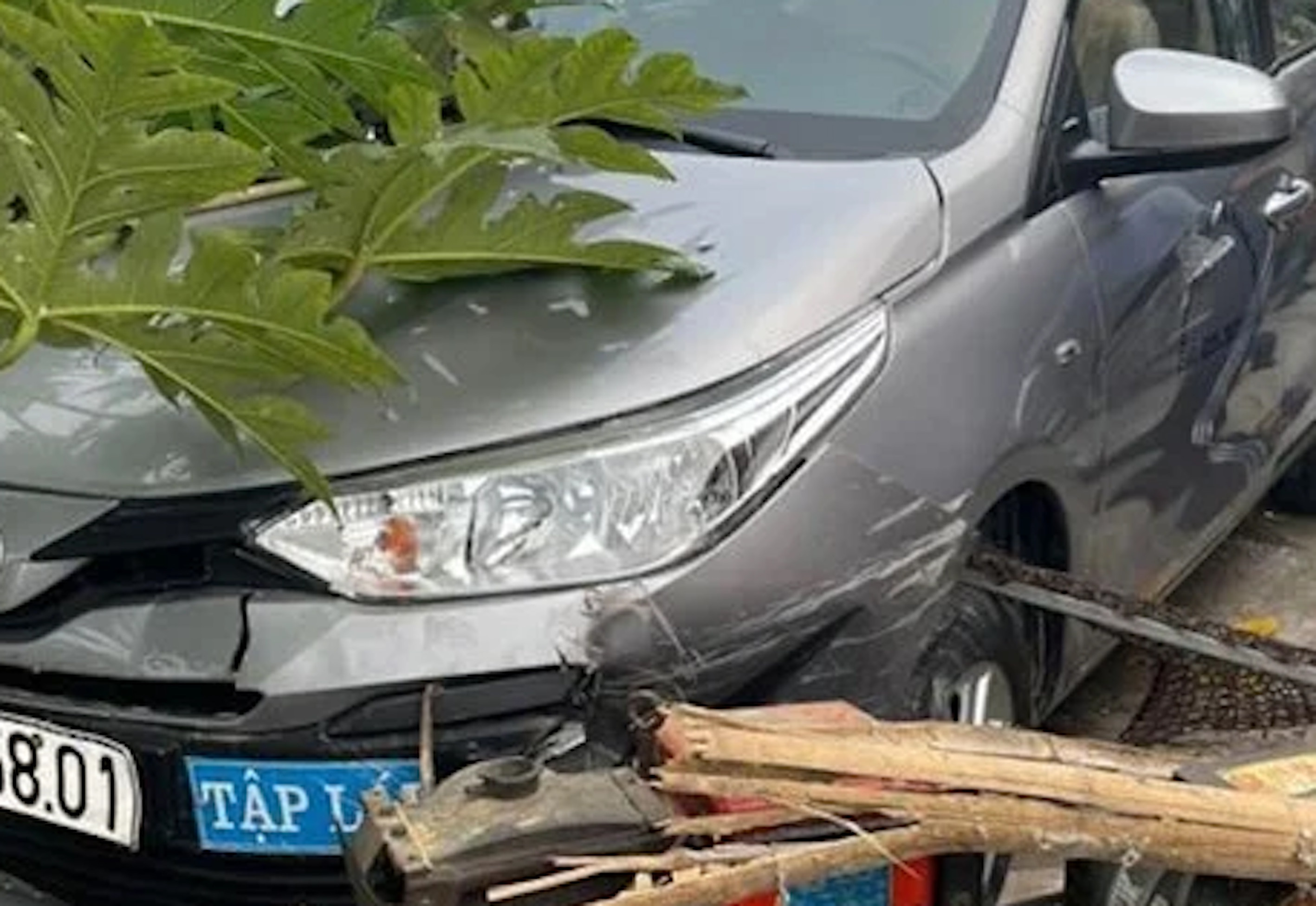 Xe tập lái chạy sai luật có bị xử phạt?