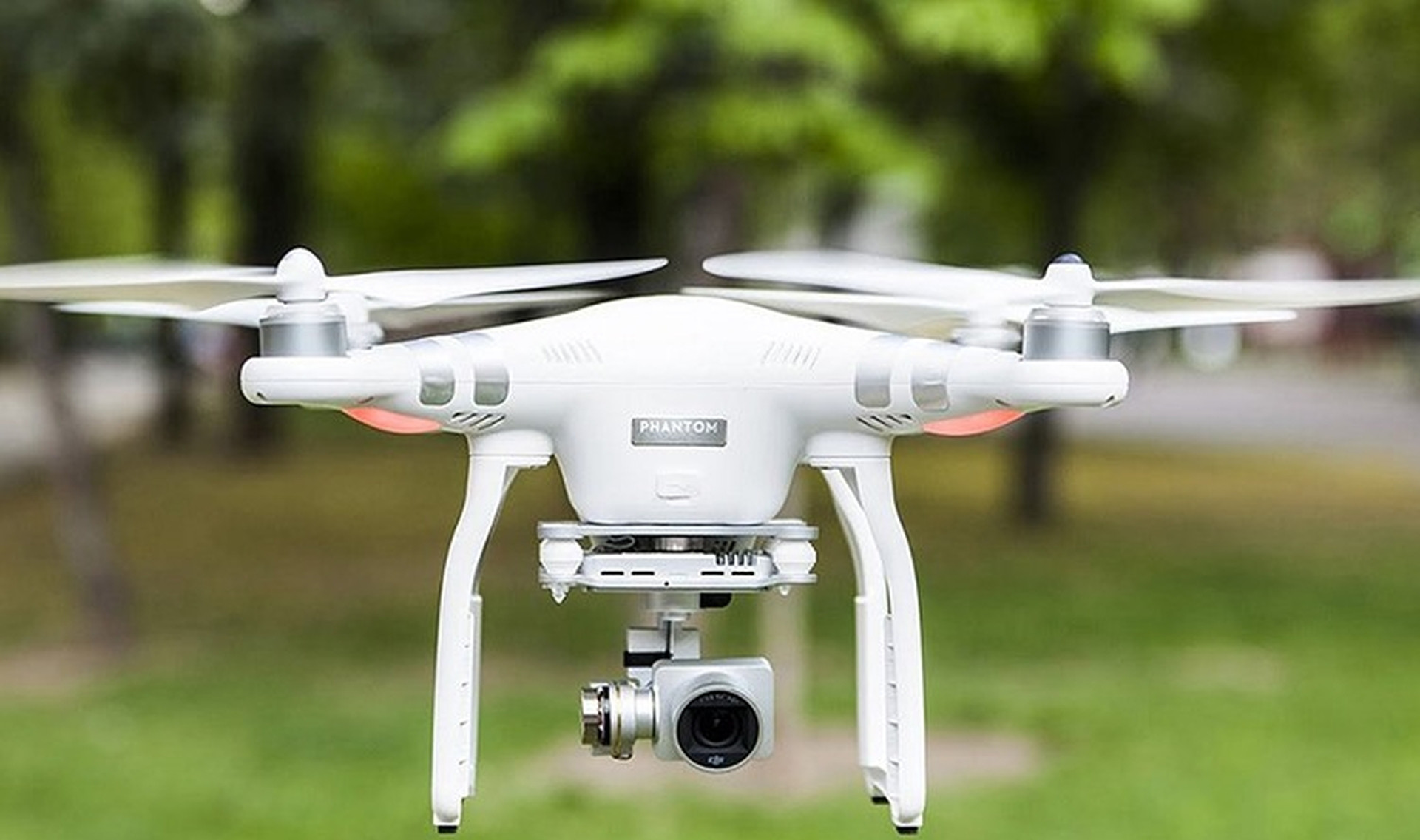 TP.HCM dùng flycam kiểm tra cây xanh sau vụ 5 người thương vong ở công viên