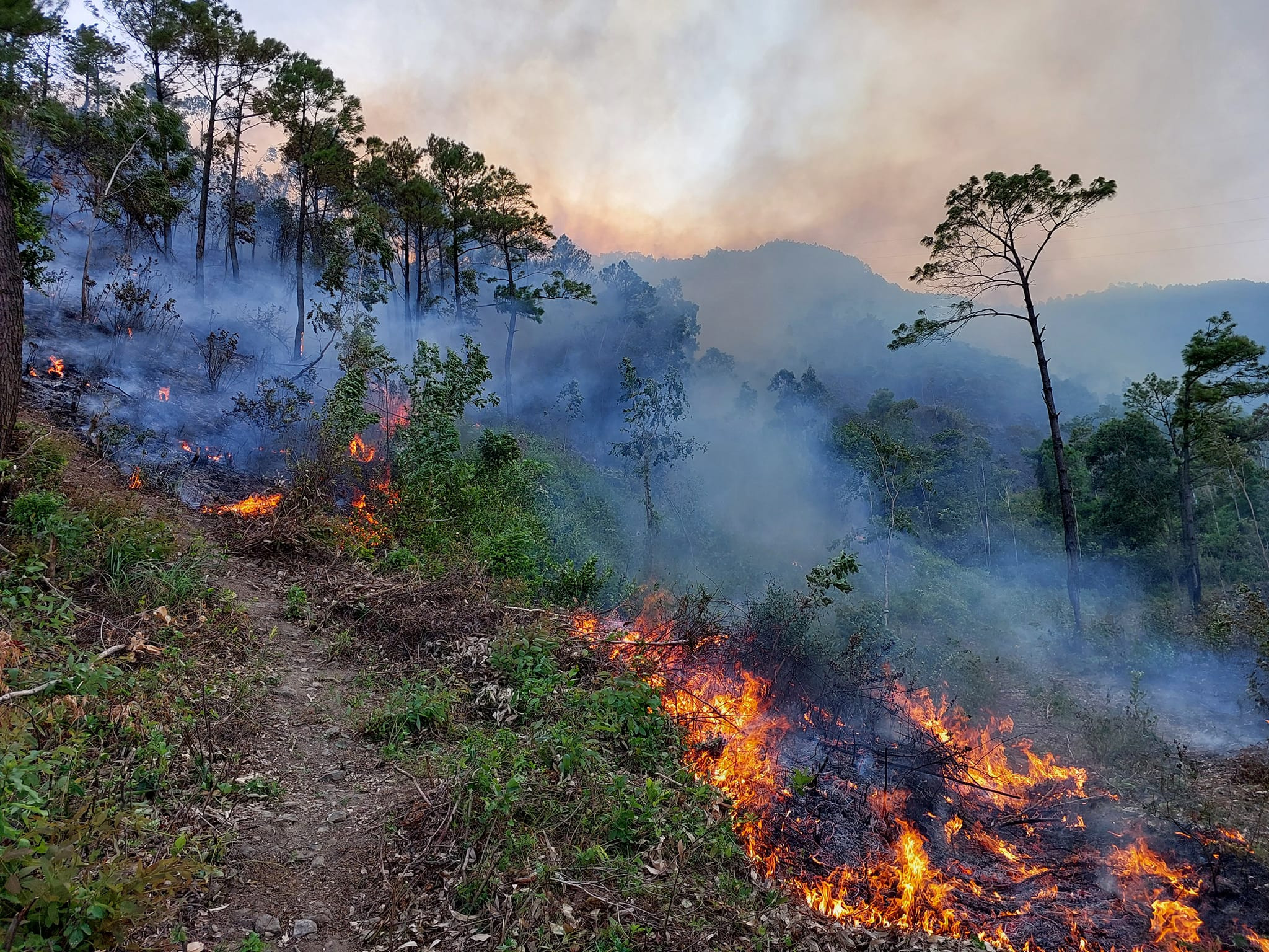 Quảng Bình lại tiếp tục xảy ra cháy rừng gần nhà dân