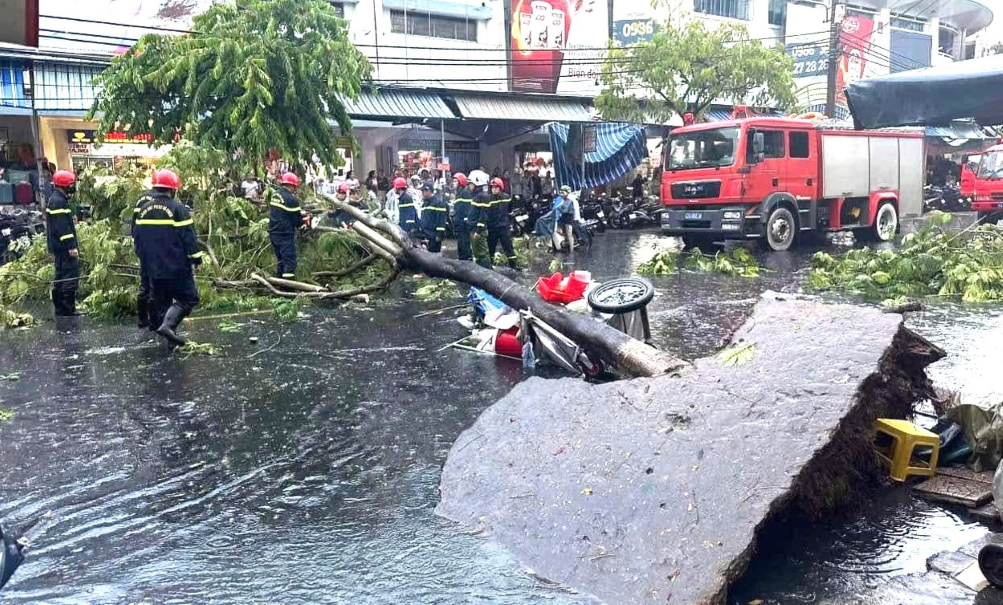 Cây xanh bật gốc trong mưa giông, một người bị thương