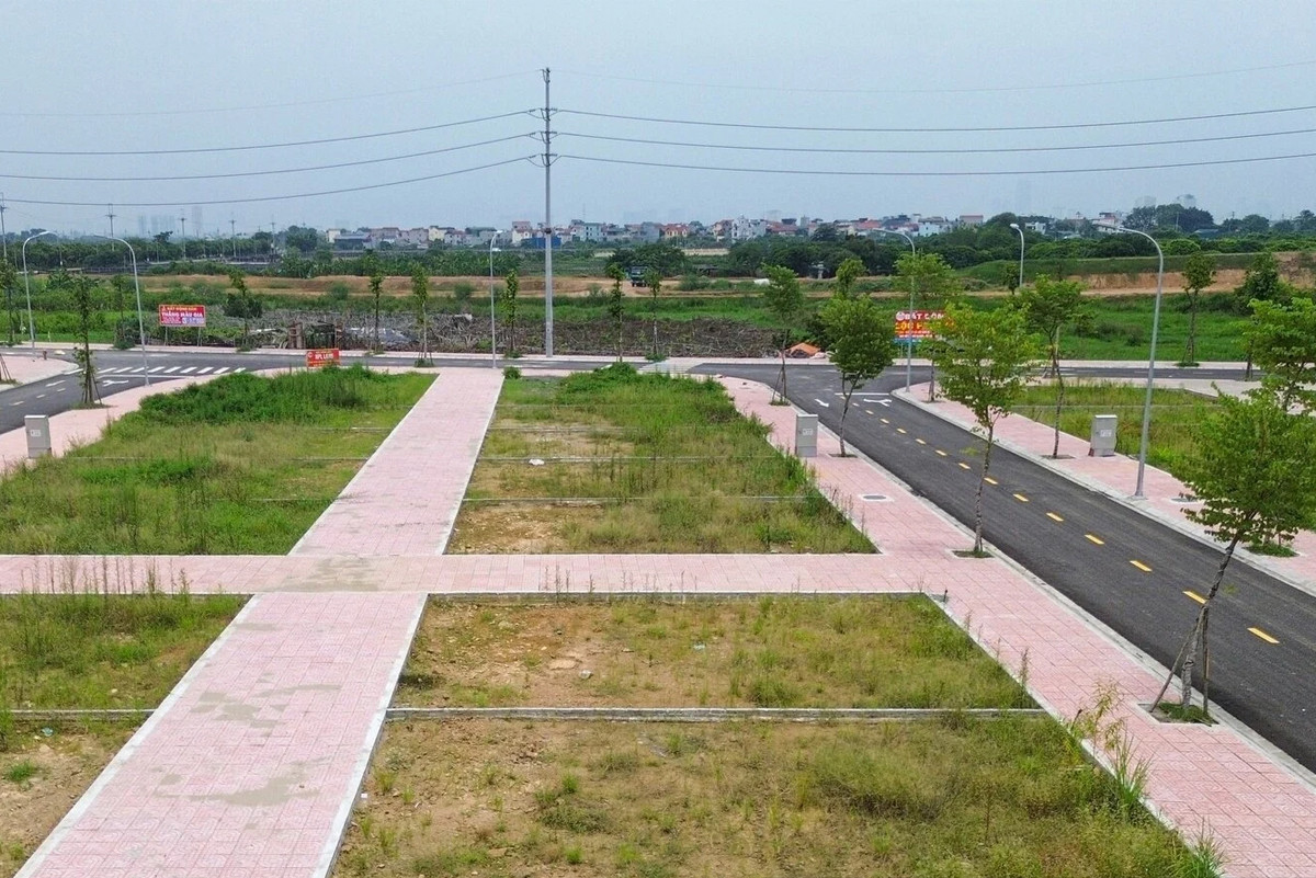 Giá trúng đấu giá đất cao gấp nhiều lần khởi điểm, Thủ tướng chỉ đạo chấn chỉnh