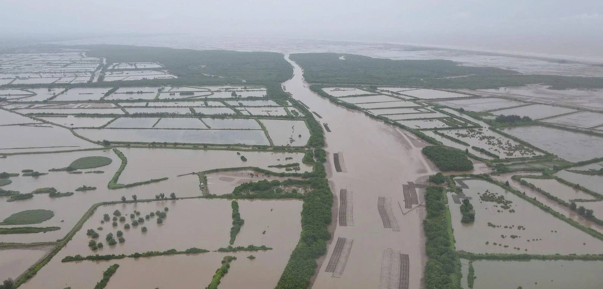 Thái Bình xác lập ranh giới Khu bảo tồn thiên nhiên đất ngập nước Tiền Hải