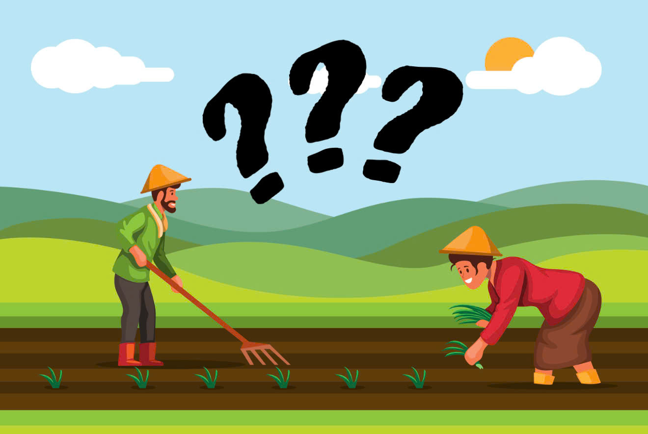 Câu đố dân gian hack não của trẻ con, người lớn chào thua