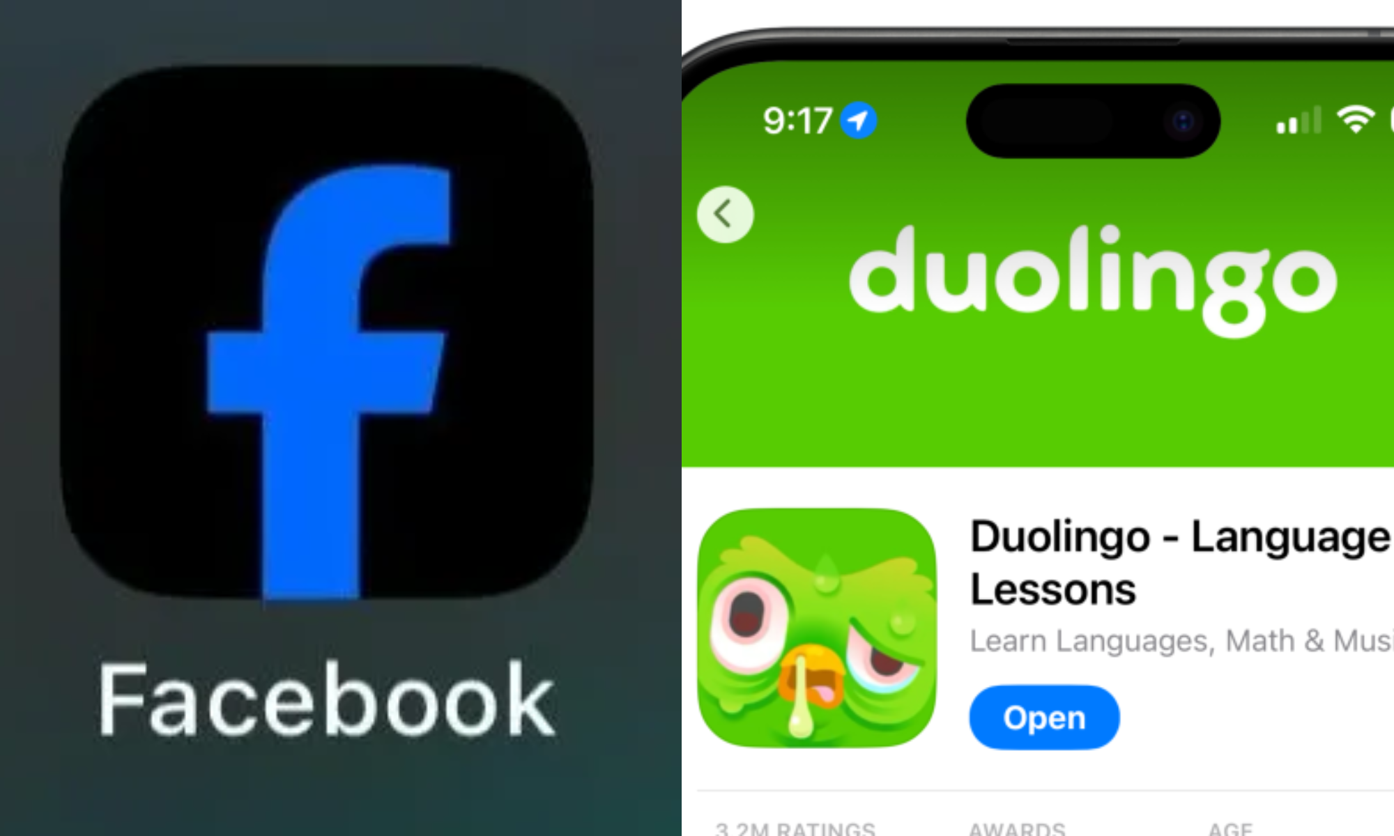 Facebook bỗng dưng có logo đen, đua tạo nét cùng Duolingo?
