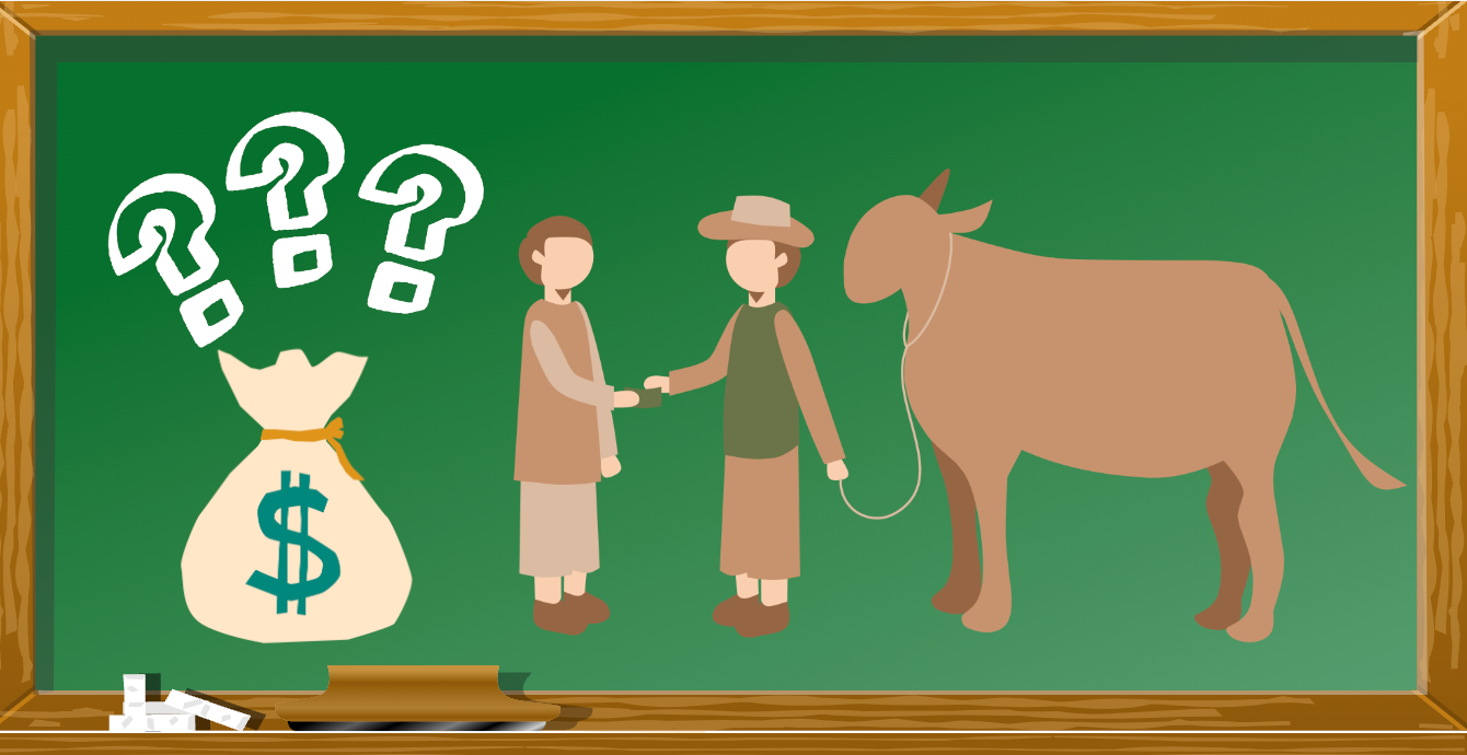 Bài toán mua bán bò khiến cộng đồng mạng tranh cãi