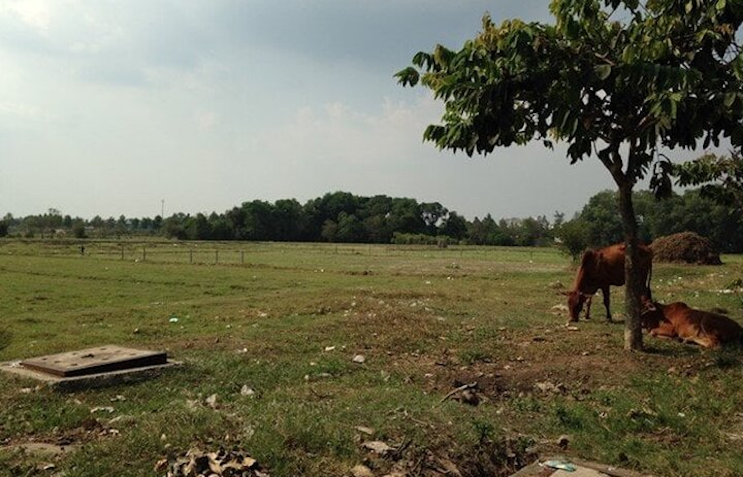 Đất mua bằng giấy viết tay qua nhiều chủ, làm sổ đỏ thế nào? 