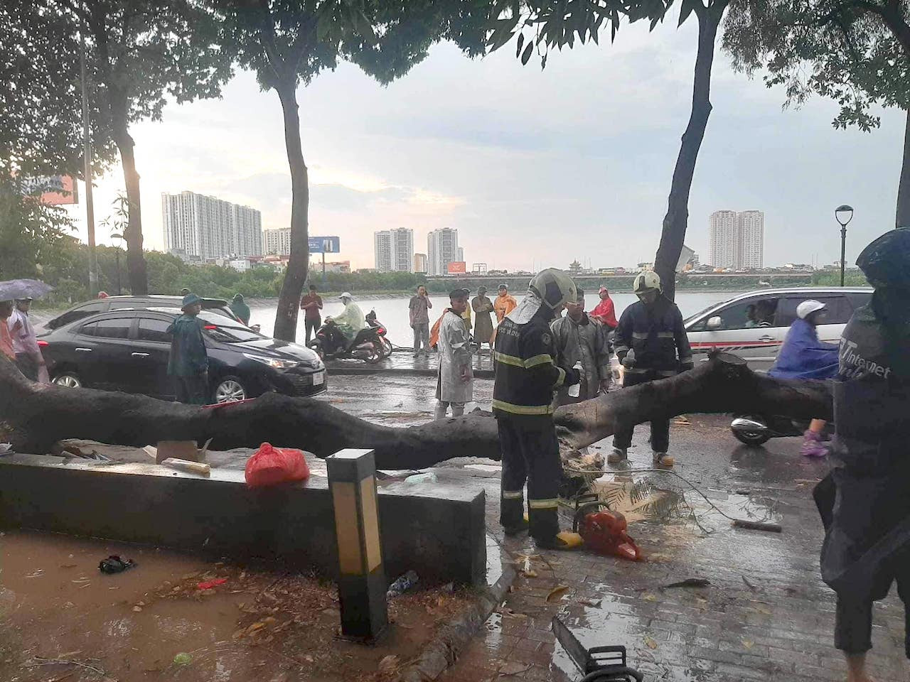 Hà Nội mưa trắng trời, cây xanh gãy đổ, đè người đi đường tử vong