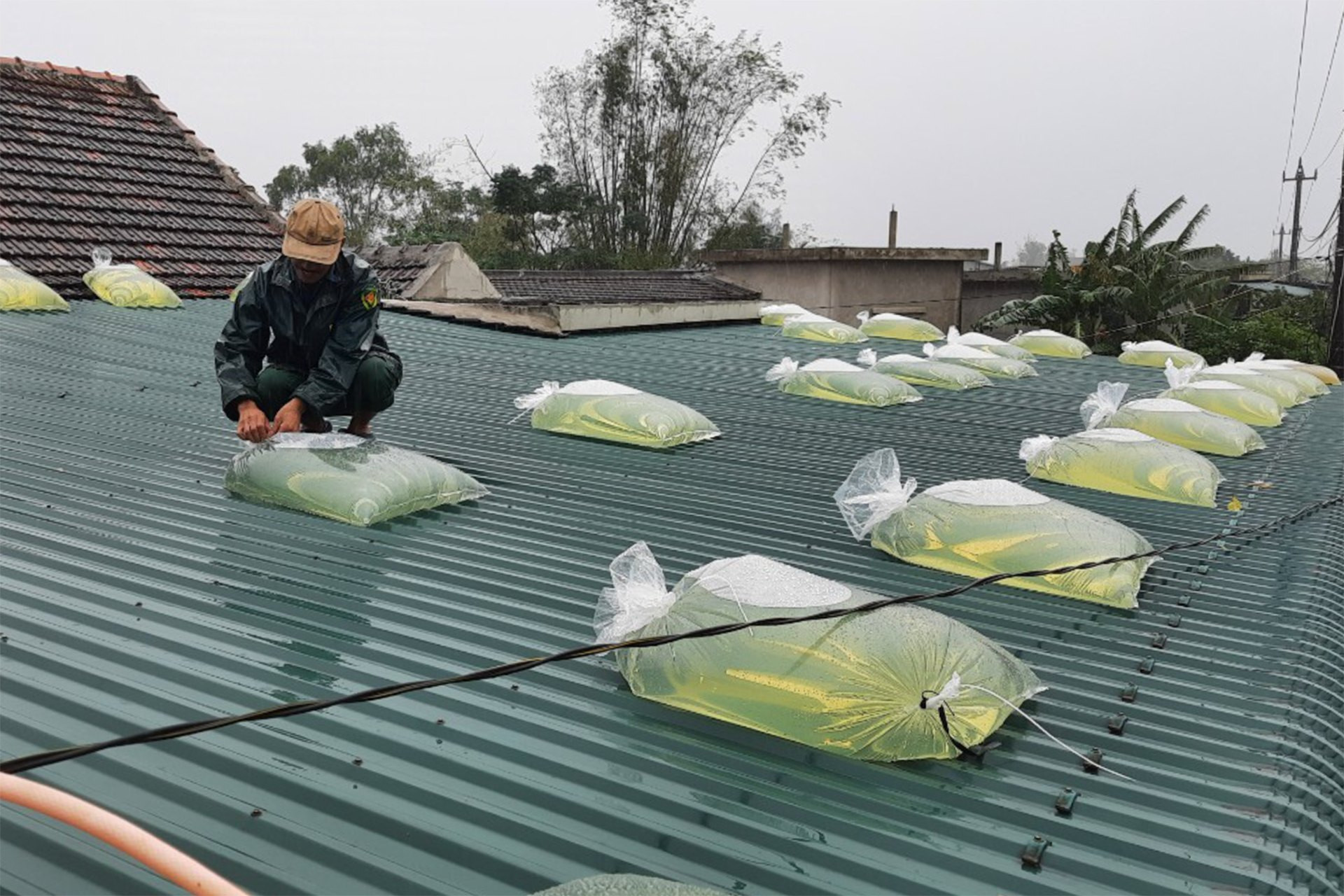 Muôn kiểu giữ mái nhà của người dân trước giờ bão Yagi đổ bộ