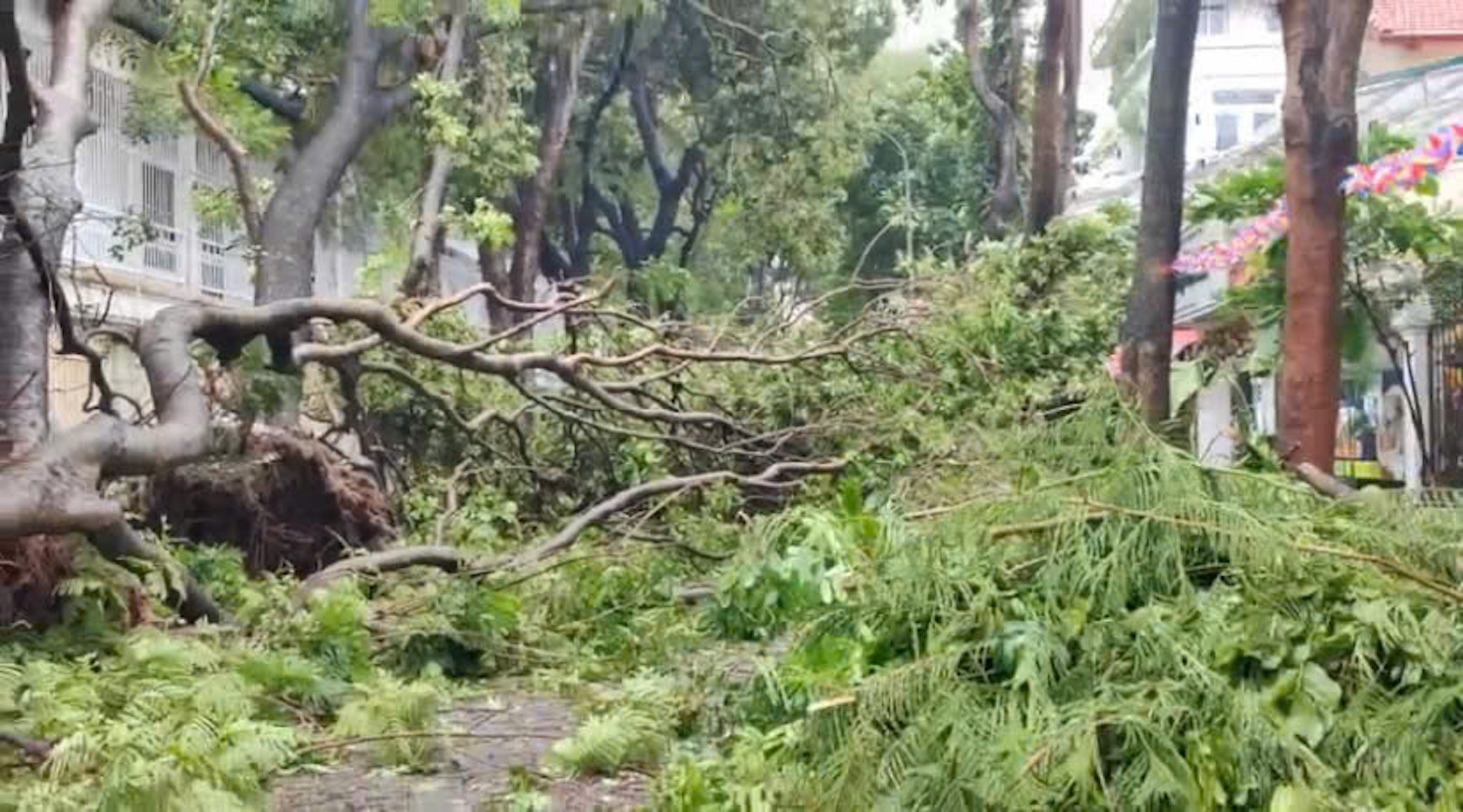 Khi nào bão Yagi qua Hà Nội?