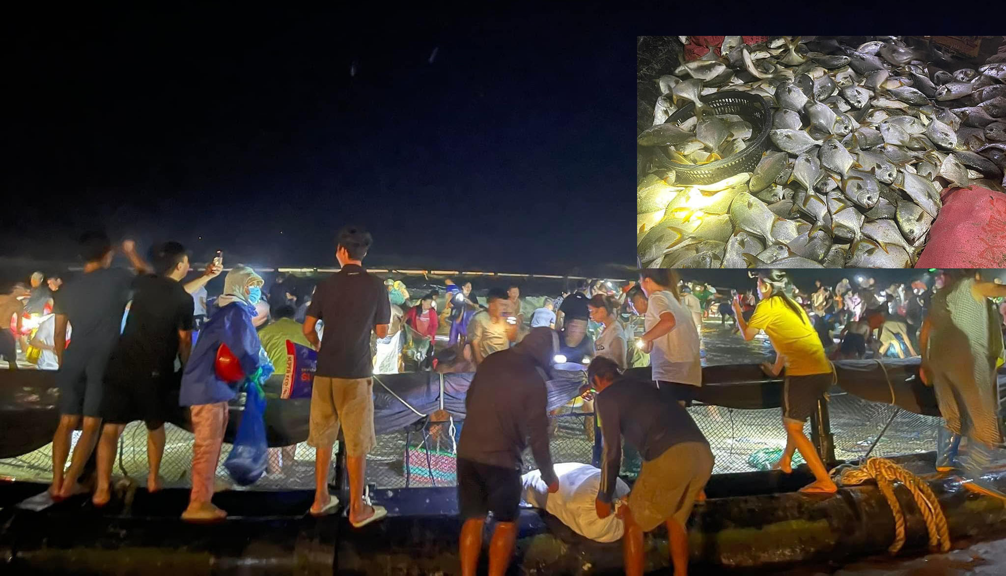 Người dân đổ ra biển nhặt cá trôi dạt sau bão Yagi