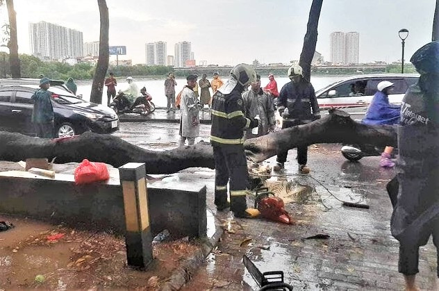 Xót xa người mẹ bị cây phượng bật gốc đè thiệt mạng, bỏ lại 3 con bơ vơ