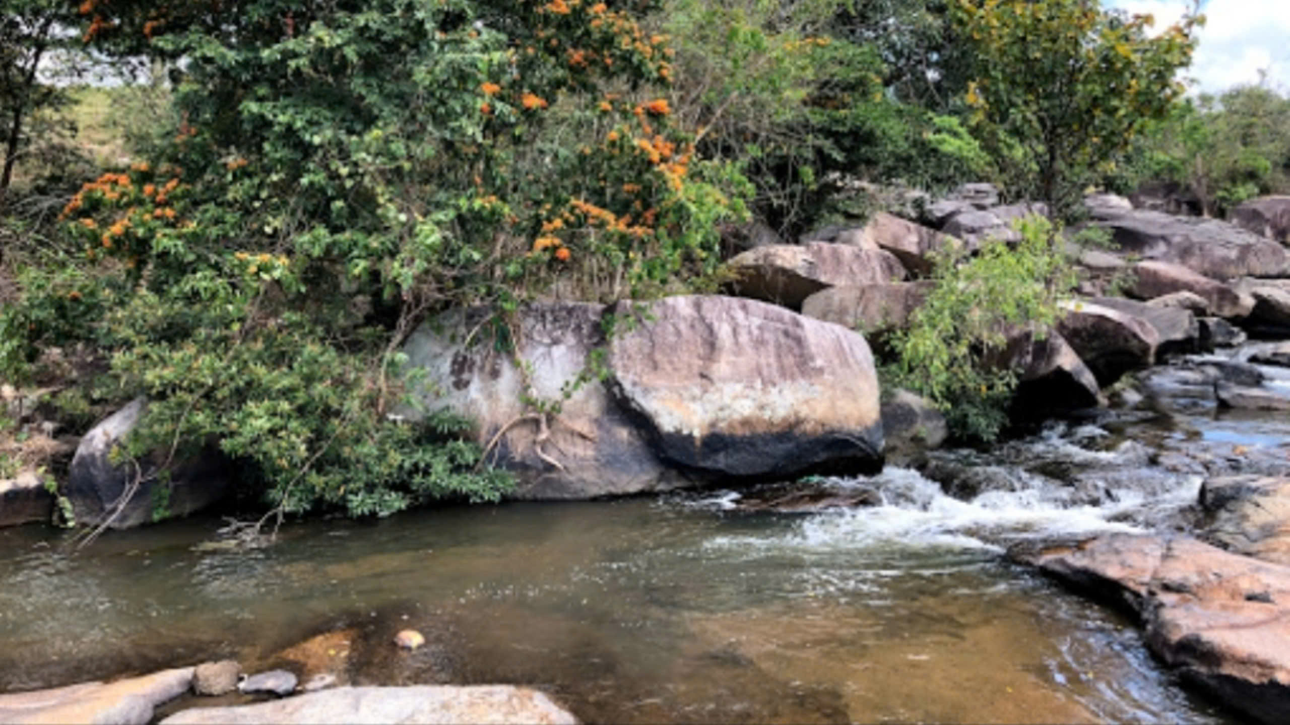 Hai cha con ở Phú Yên bị điện giật chết