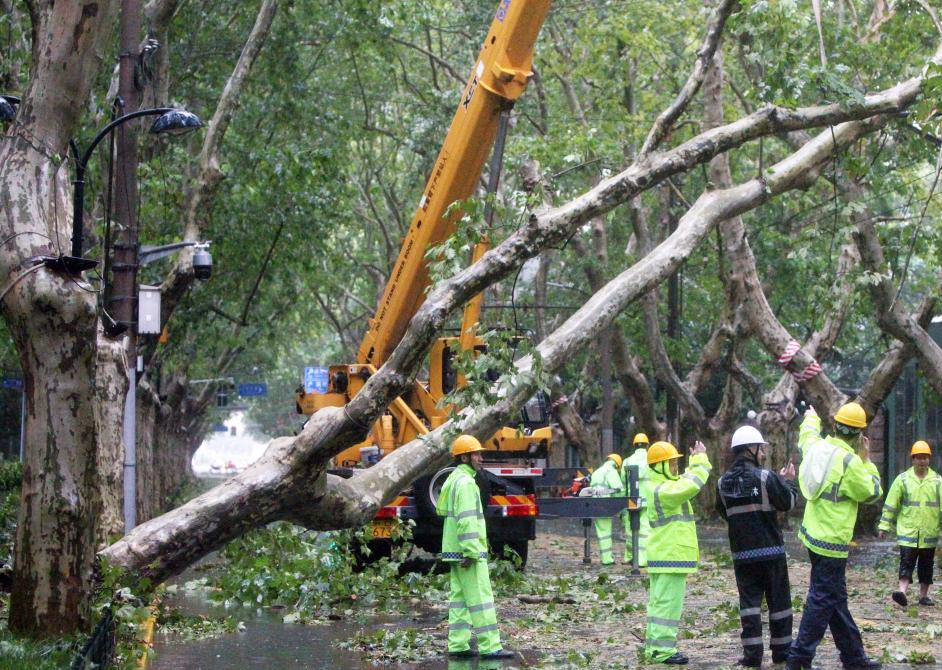 Bão Bebinca quật đổ hơn 10.000 cây xanh ở Thượng Hải