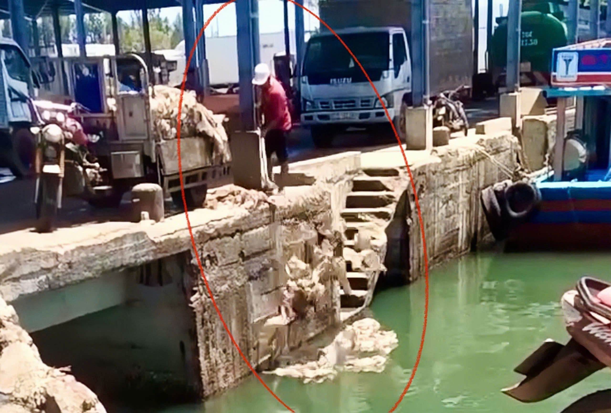 Xử phạt người đàn ông vô tư xả rác thải nhựa xuống biển tại Bình Định